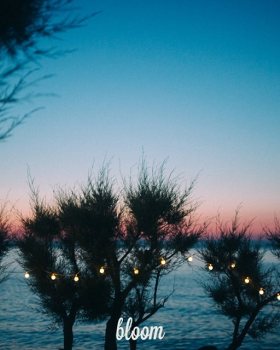 2013 年完成的 Bloom 海滩酒吧 | 木质结构与海洋风情的完美融合