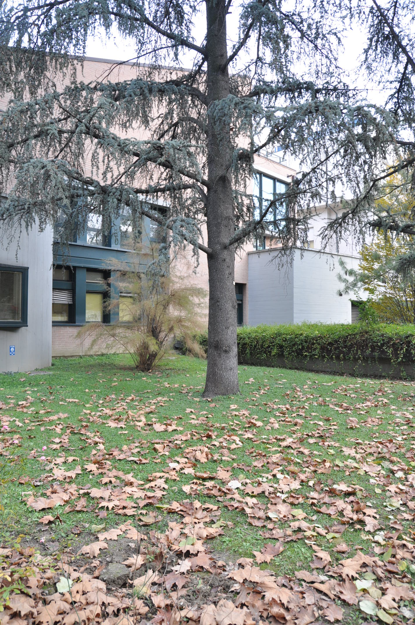 1999 年完成的圣奥尔索拉血液病研究所-31