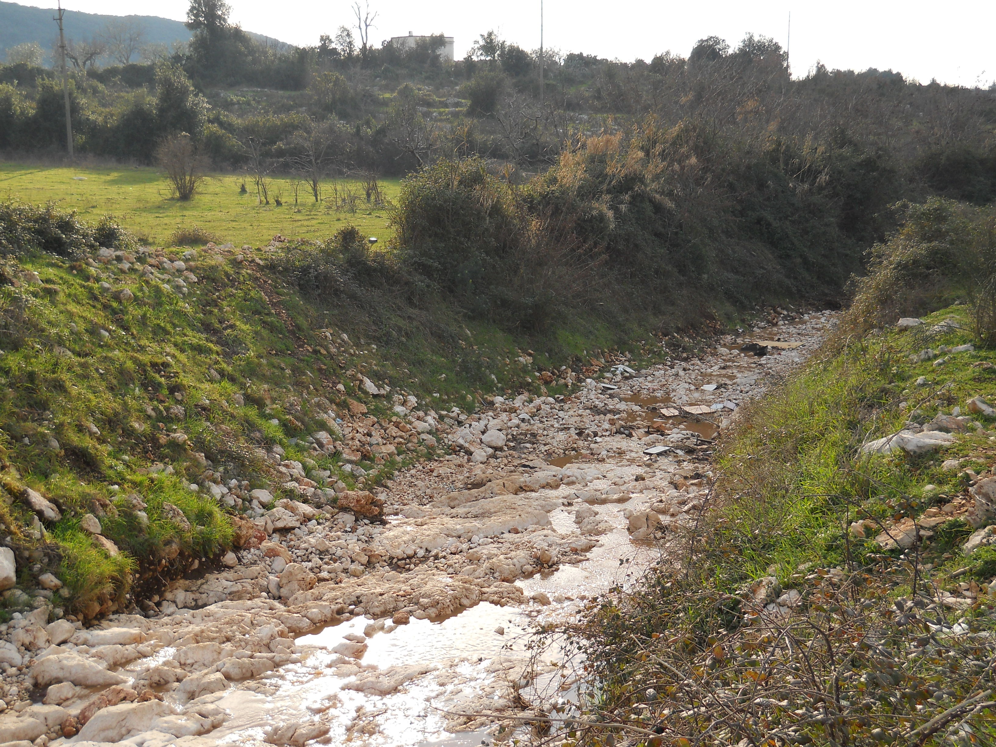 城市空间重塑 | 以河流恢复为契机的公园规划-5