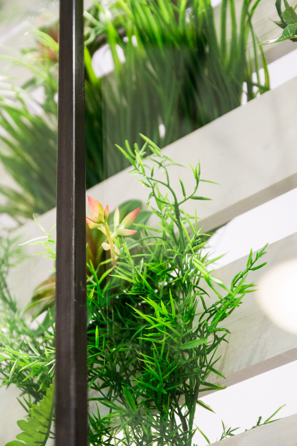 绿意盎然的空间艺术-29