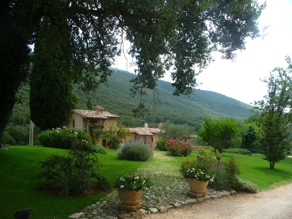 乡村住宅修复-1