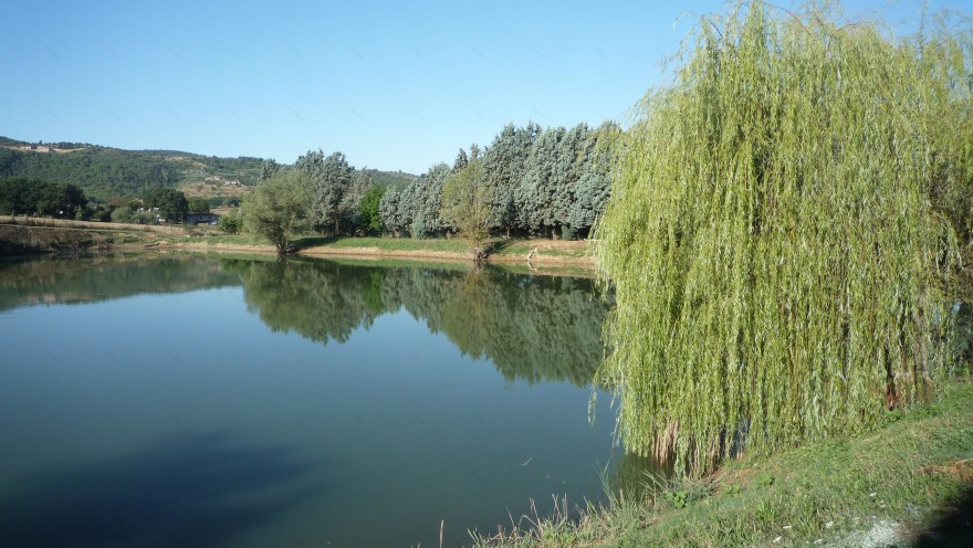 泳池与自然的完美融合-13