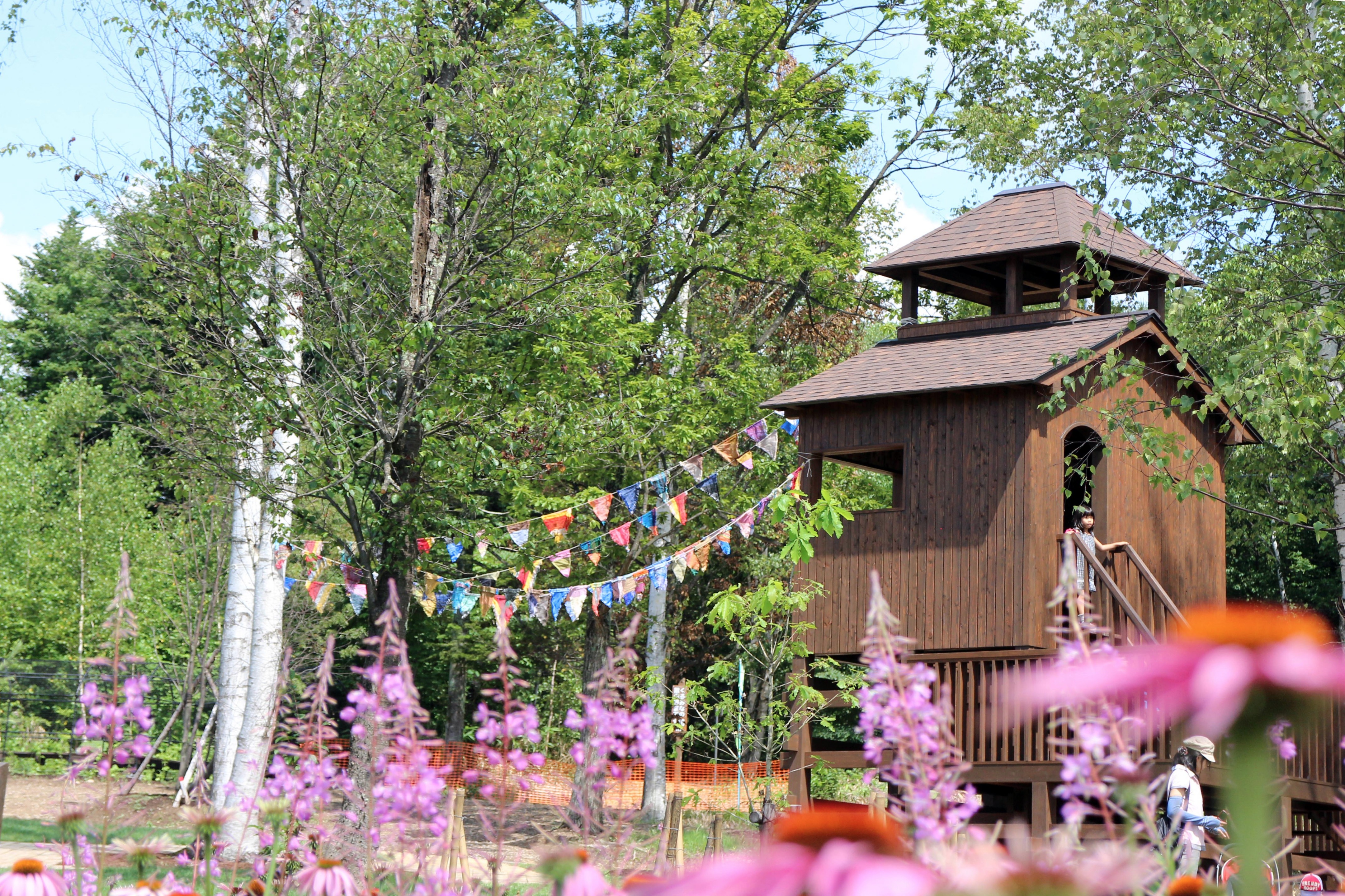 2015 年完成的库鲁米娜公共花园-40