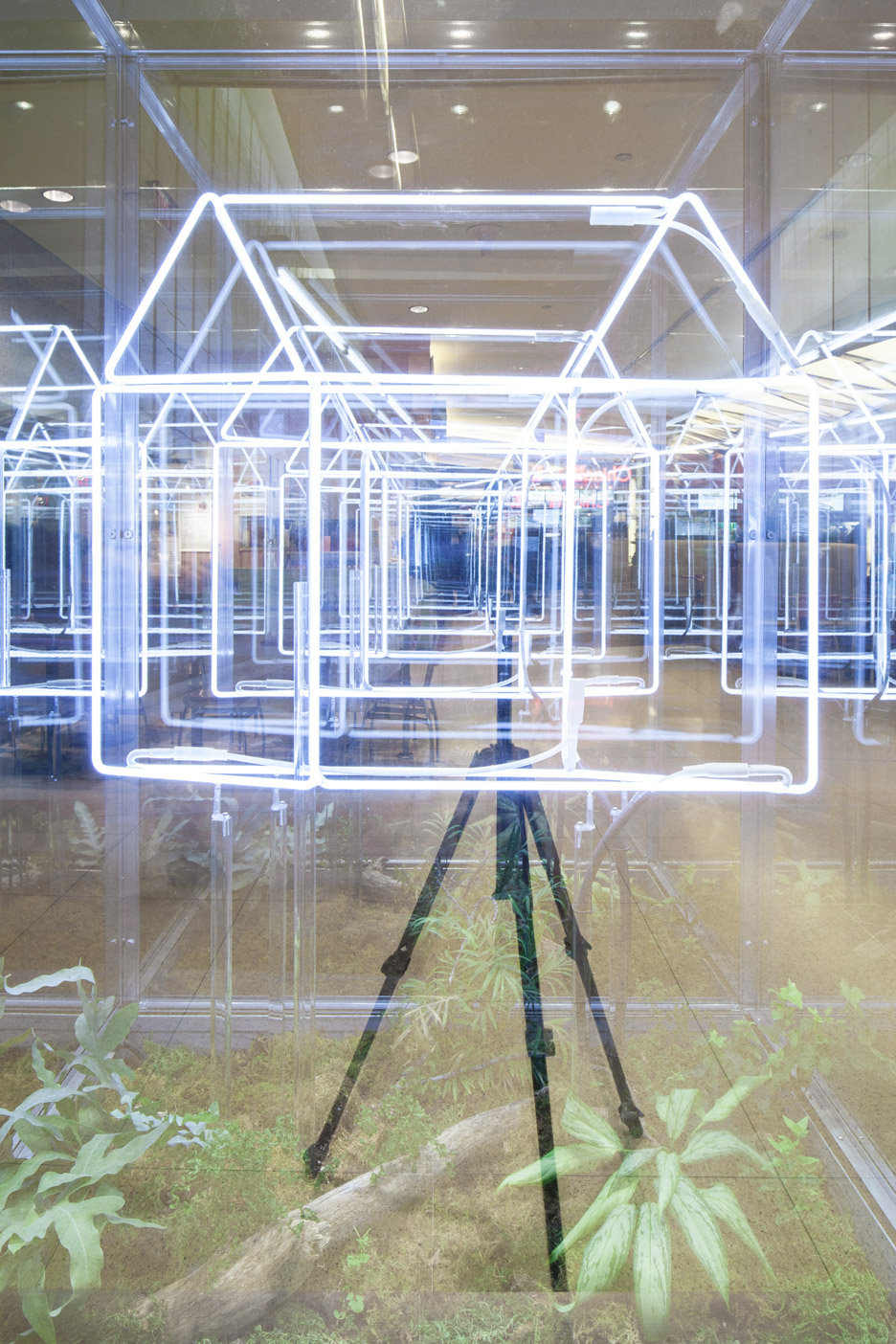 千克工作室为多伦多果汁吧设计雪松内饰-15