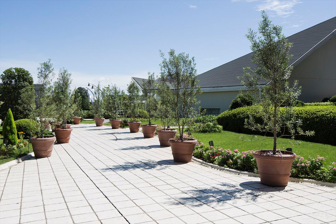 日本海景酒店婚礼教堂的室内设计魅力-11