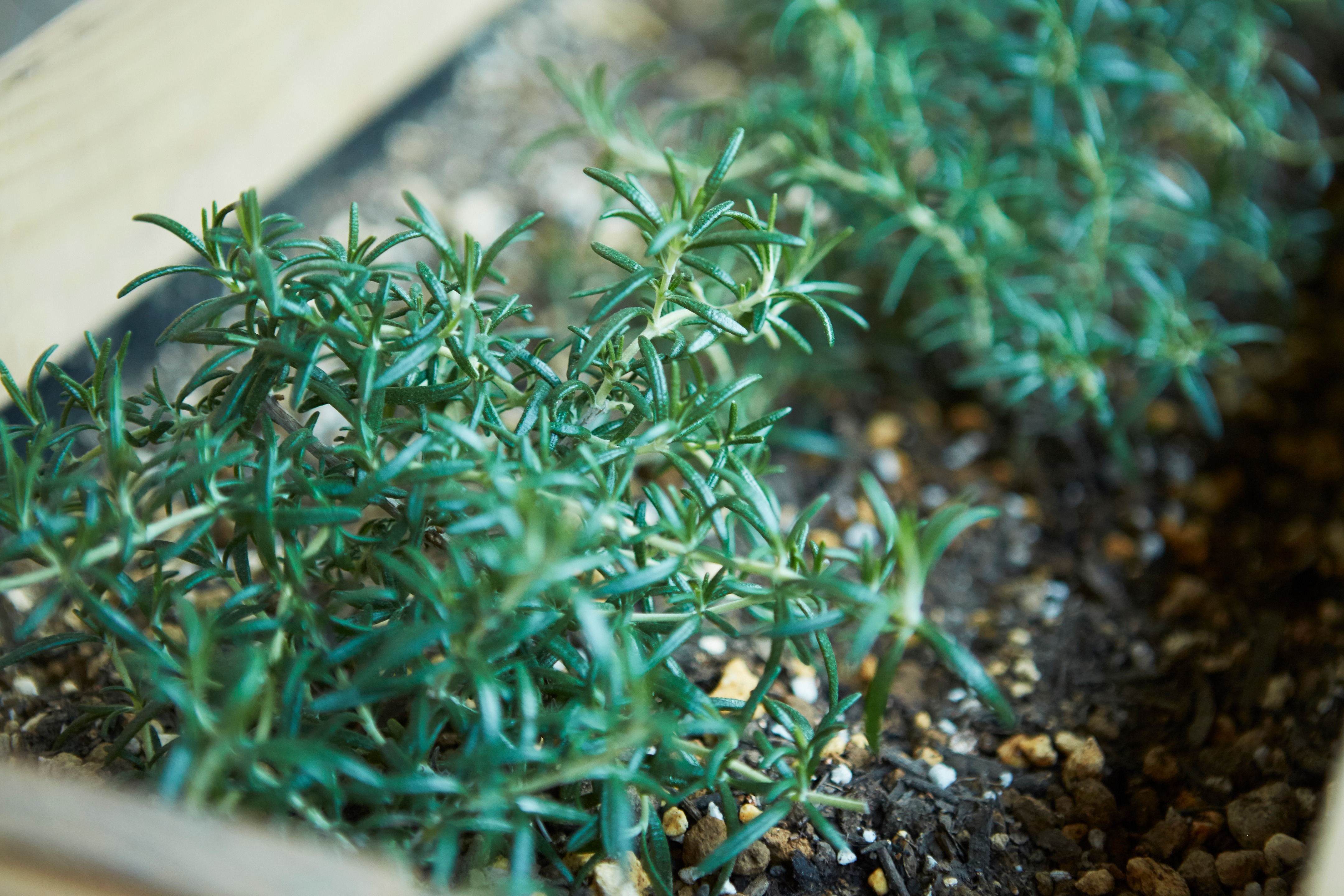 东京潮流地段的环保咖啡馆设计-5