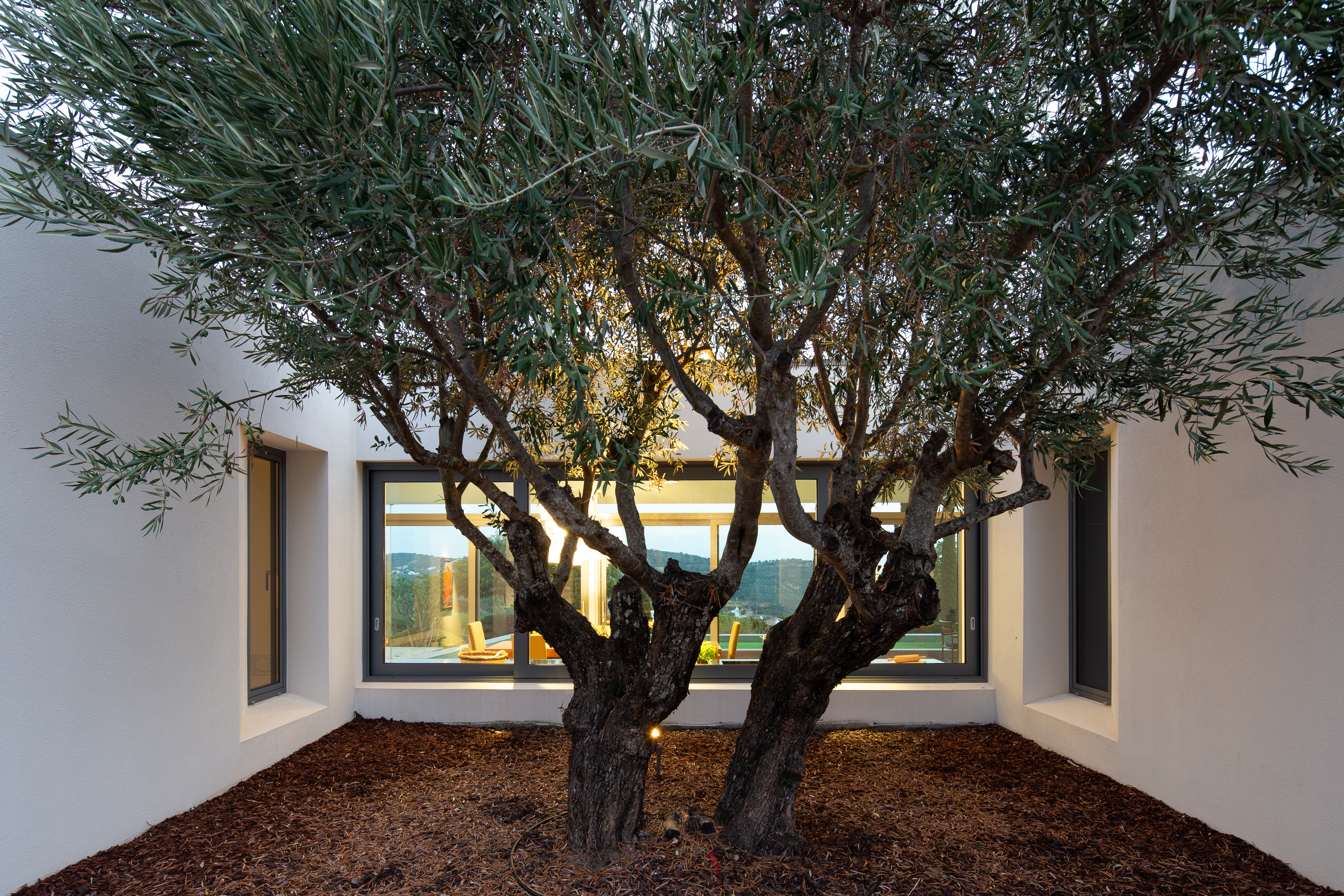 葡萄牙“第三世界开发者”的绿色环保地下别墅-23