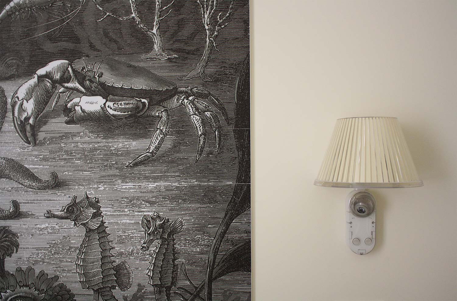 圣彼得宫殿酒店-13