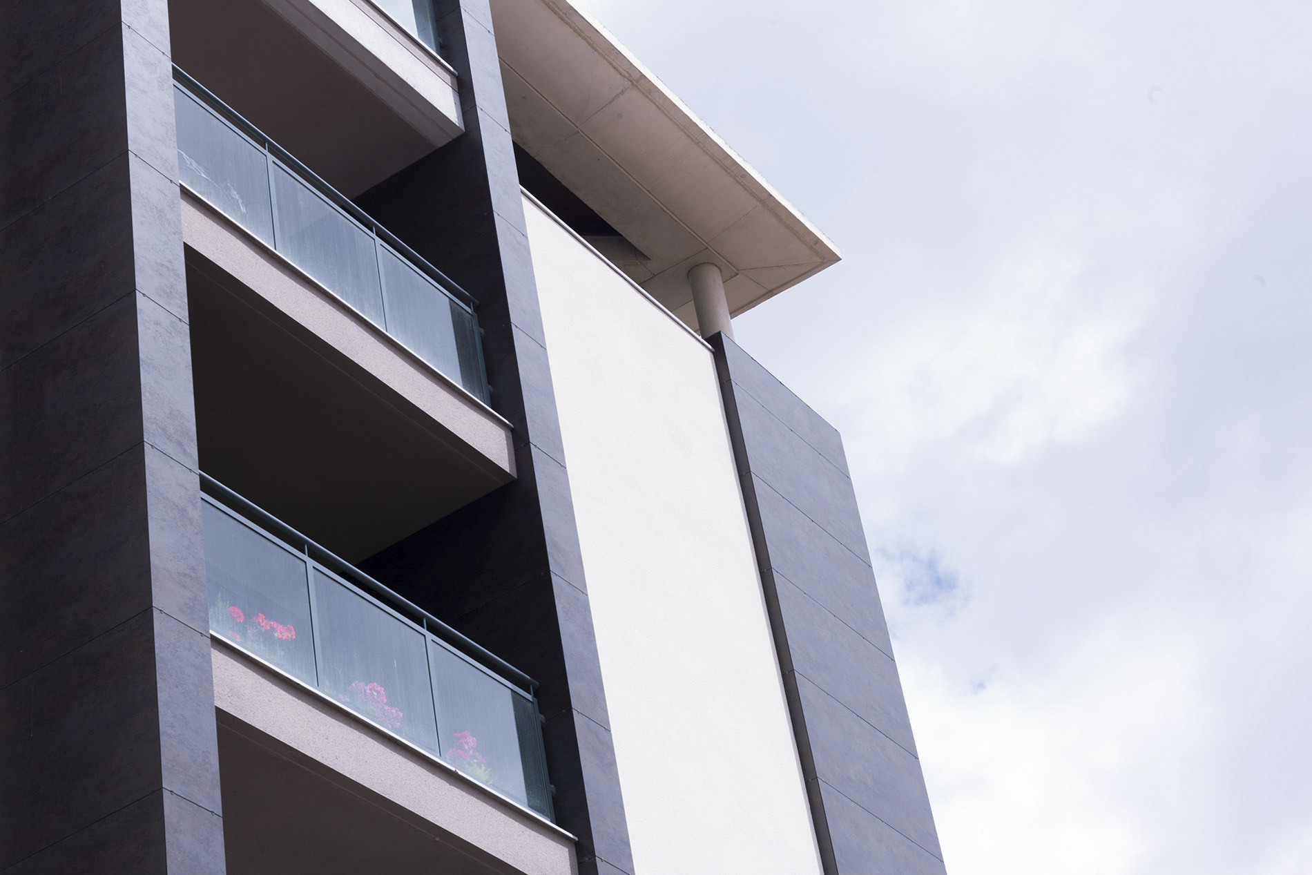 VIVE COFRENTES·高性能公共住房设计-8