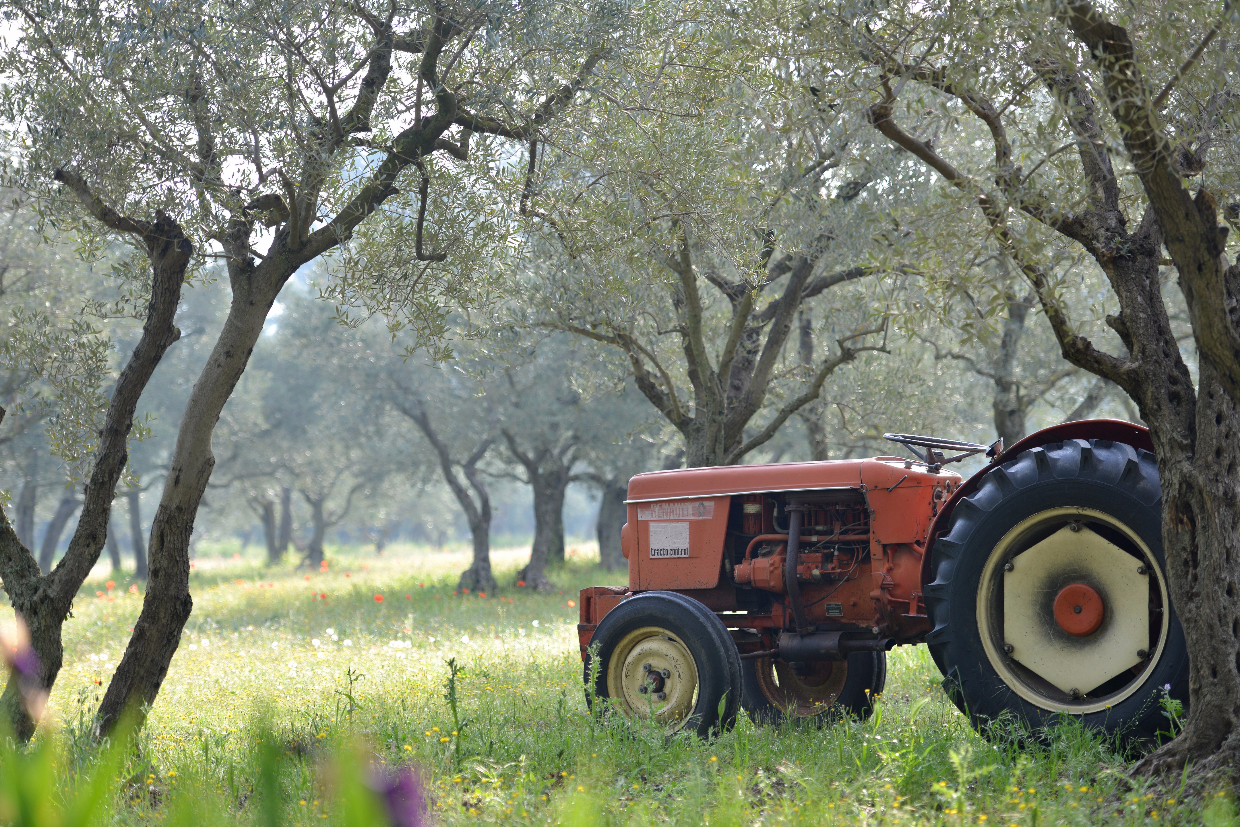 普罗旺斯香薰世家住宅设计-52