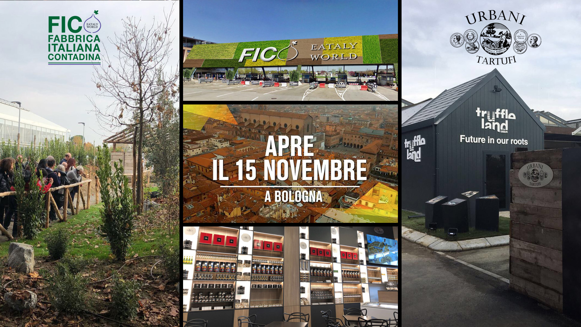 意大利 URBANI TARTUFI 餐厅-20