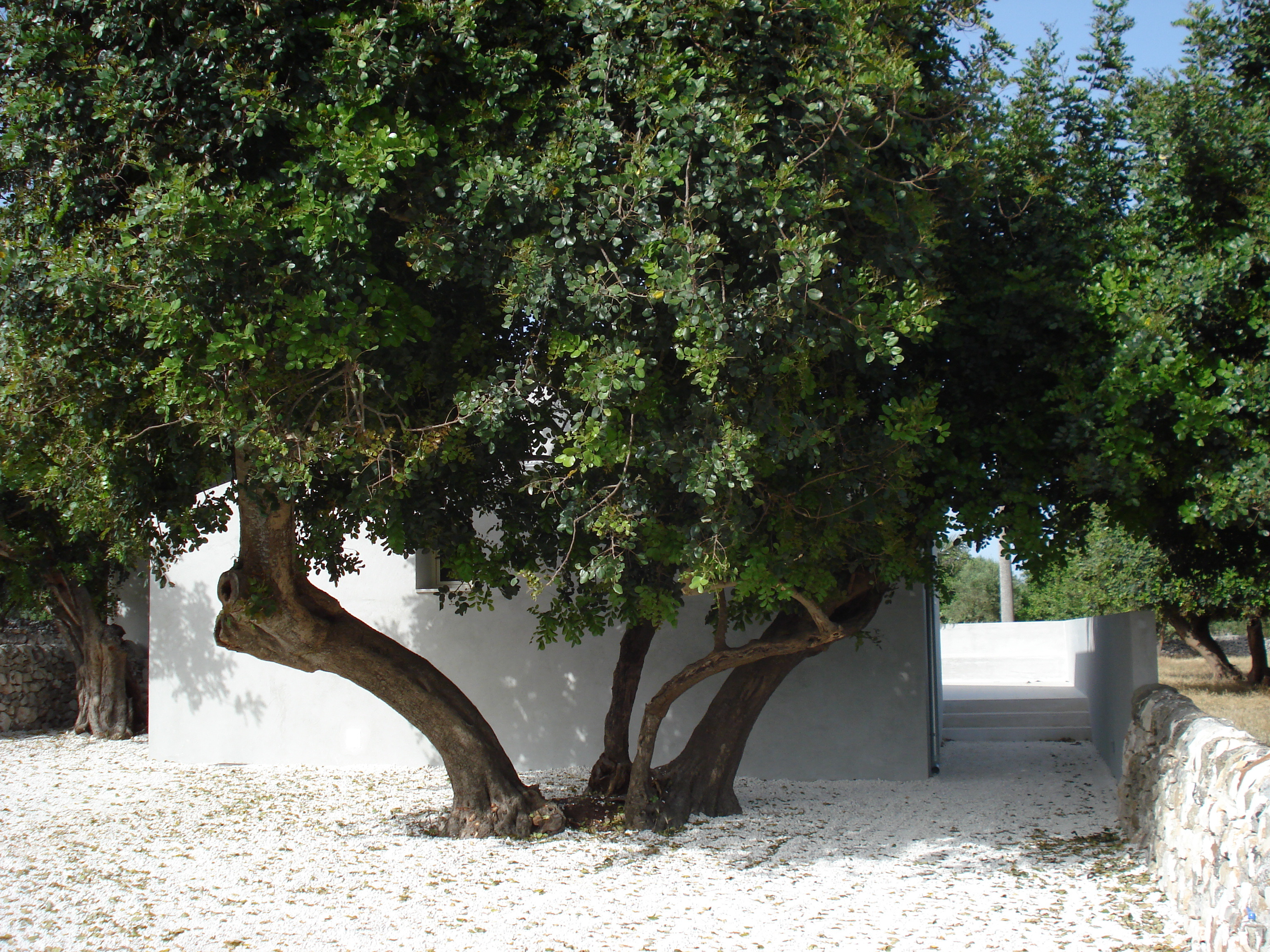 乡村小屋的重生 · Modica 小屋改造记-0