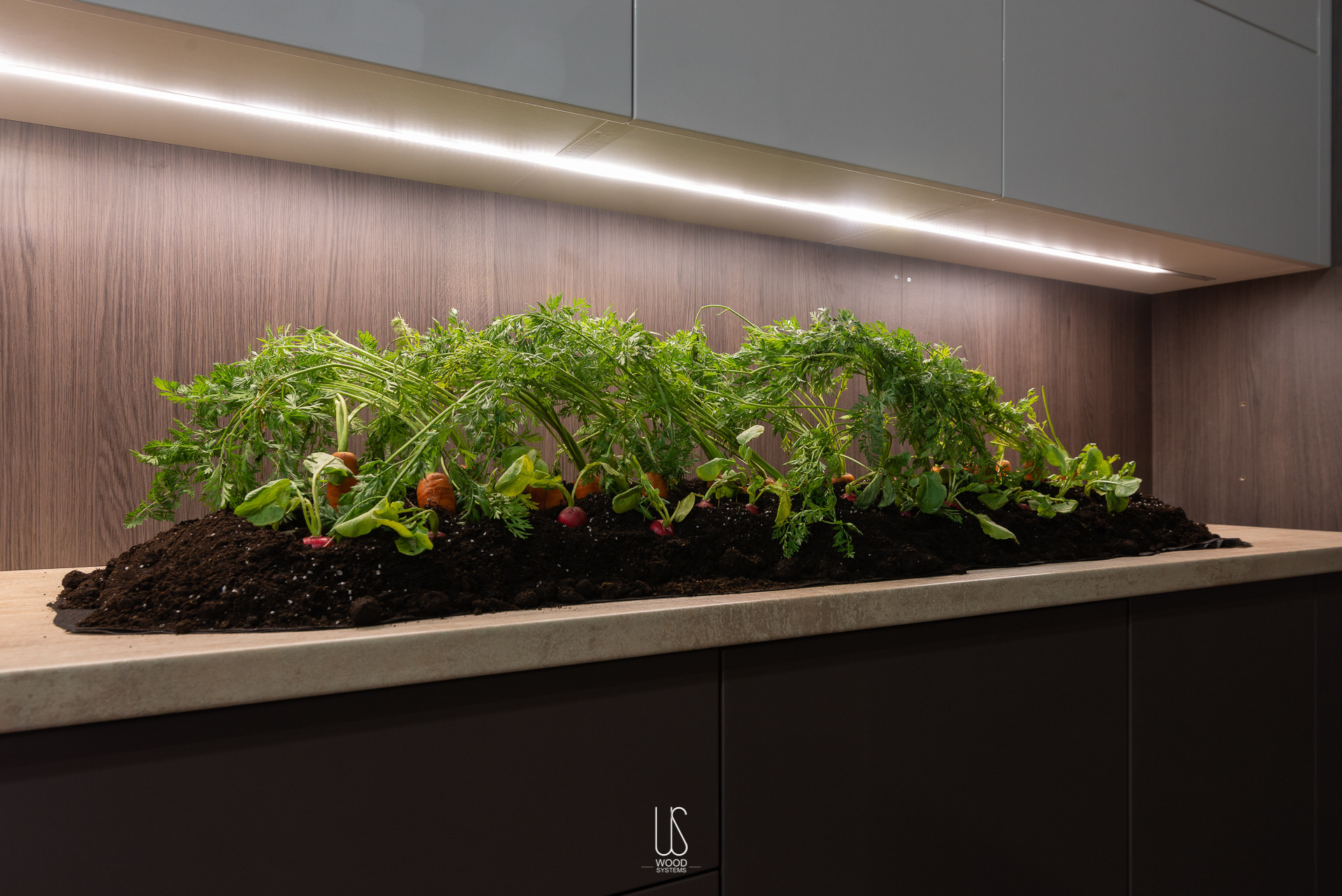 乌克兰基辅生活厨房（Kitchen "Shenghuo" by WOODSystems,Kyiv,Ukraine）-15