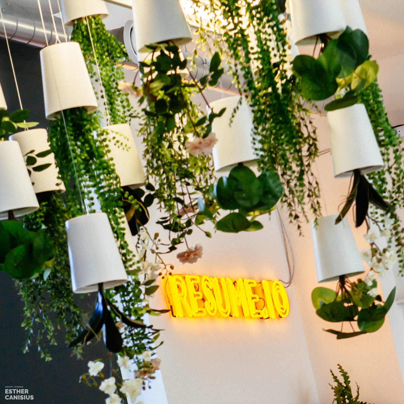 荷兰 Imkey 办公室 | 古典建筑中的现代绿意空间-17