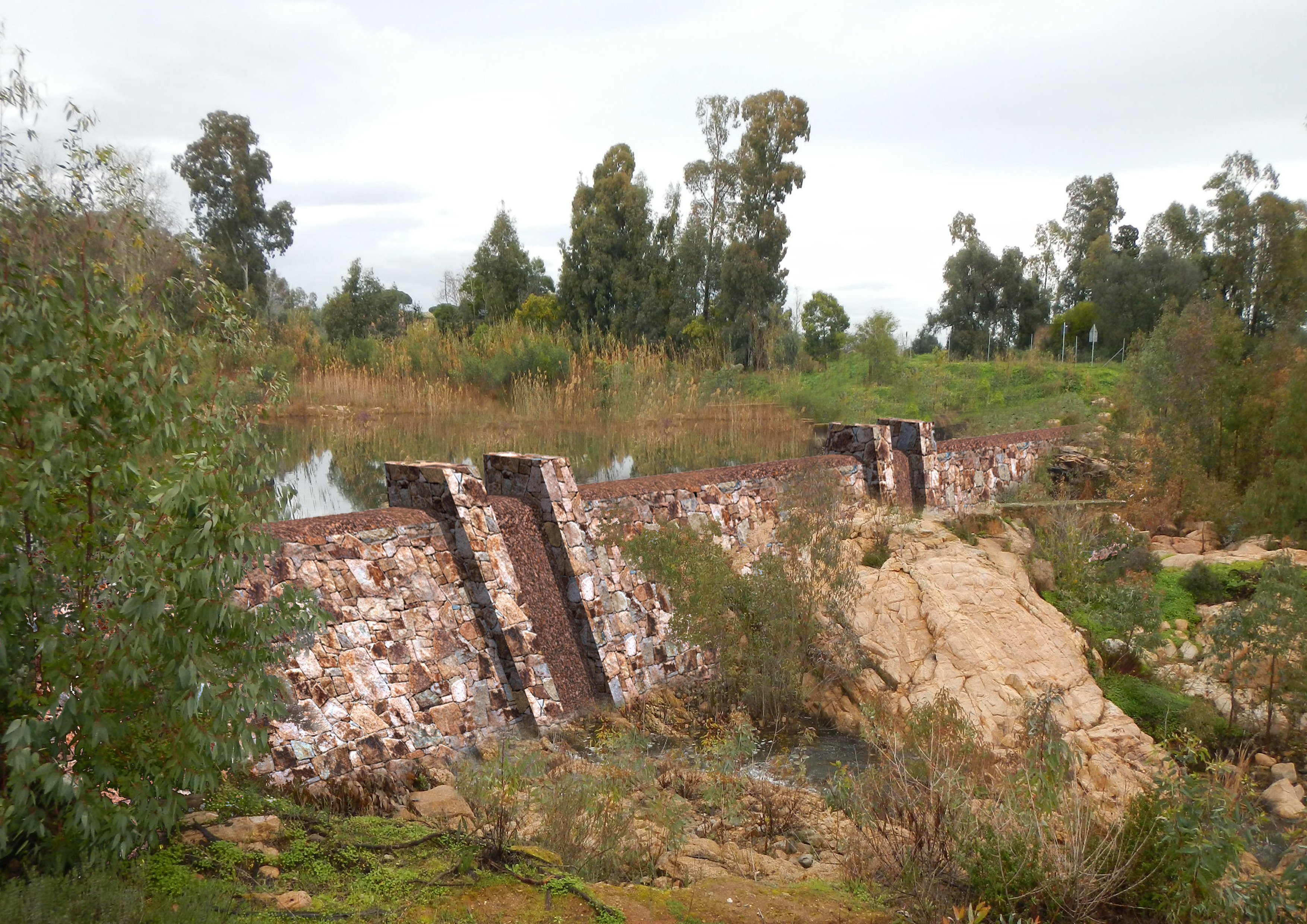 保护 Poggio dei Pini 大坝的景观规划-11