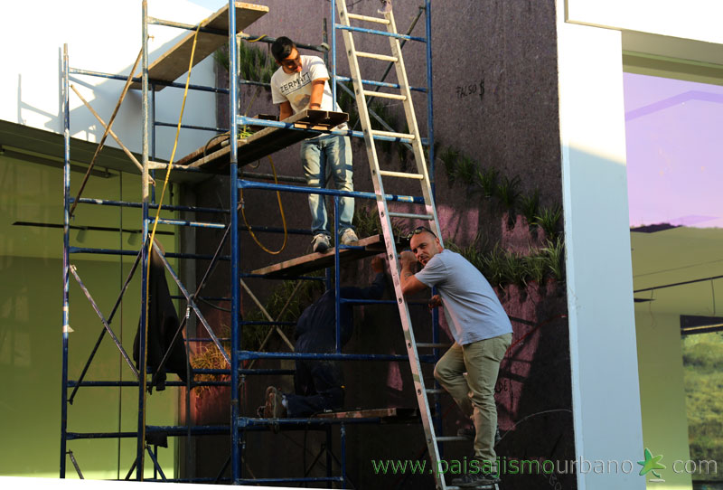 墨西哥绿意盎然的家庭住宅-7