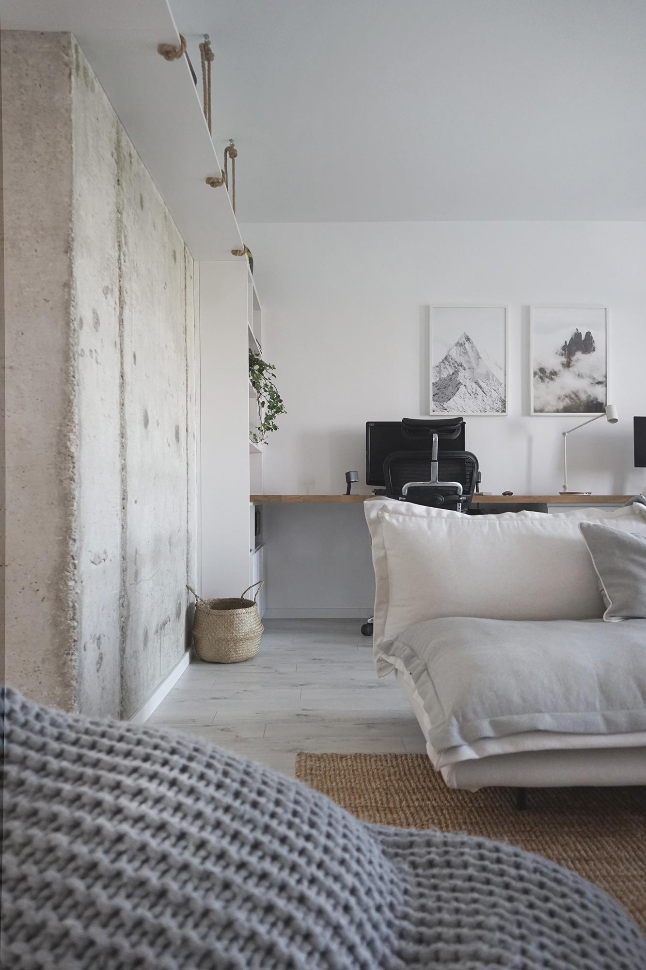 2017 年私人住宅室内设计佳作-3