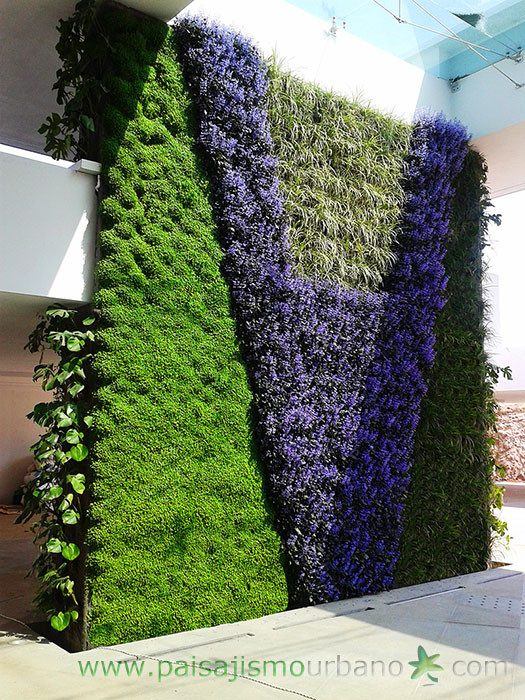 墨西哥绿意盎然的家庭住宅-13