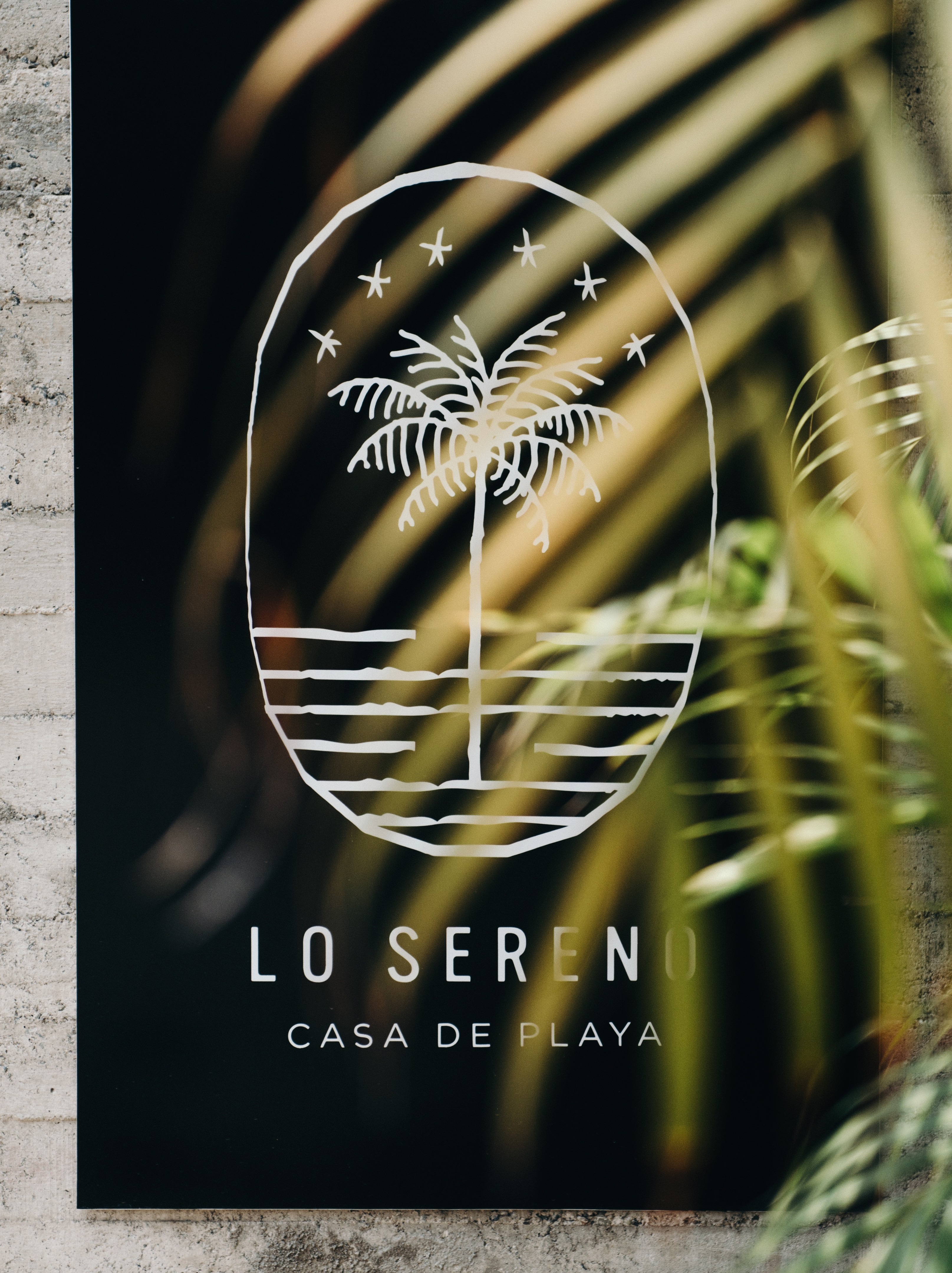 洛塞雷诺海滩之家（特龙科内斯，墨西哥）-16