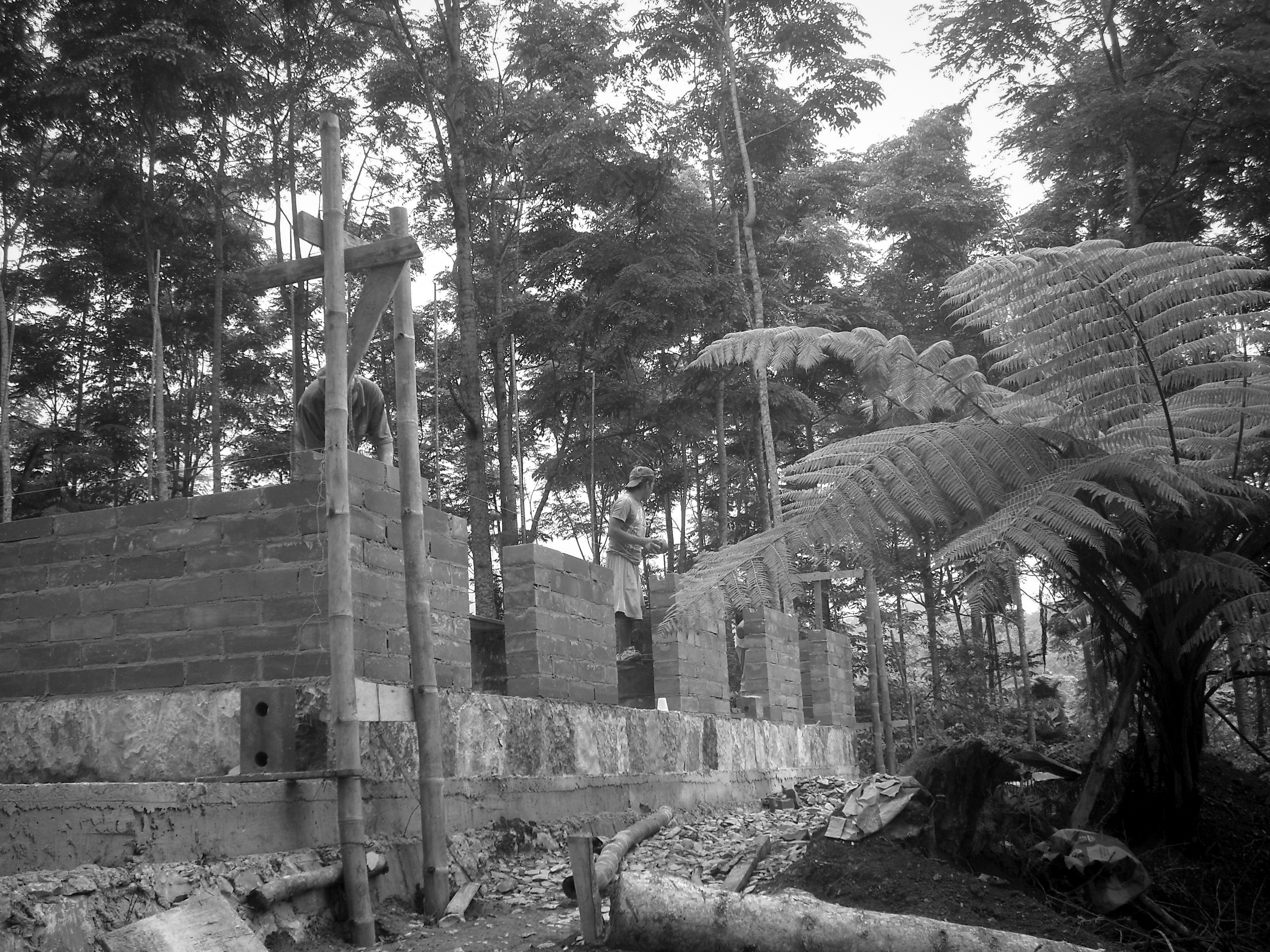 蒙特梭利·托塞潘双语学校-18