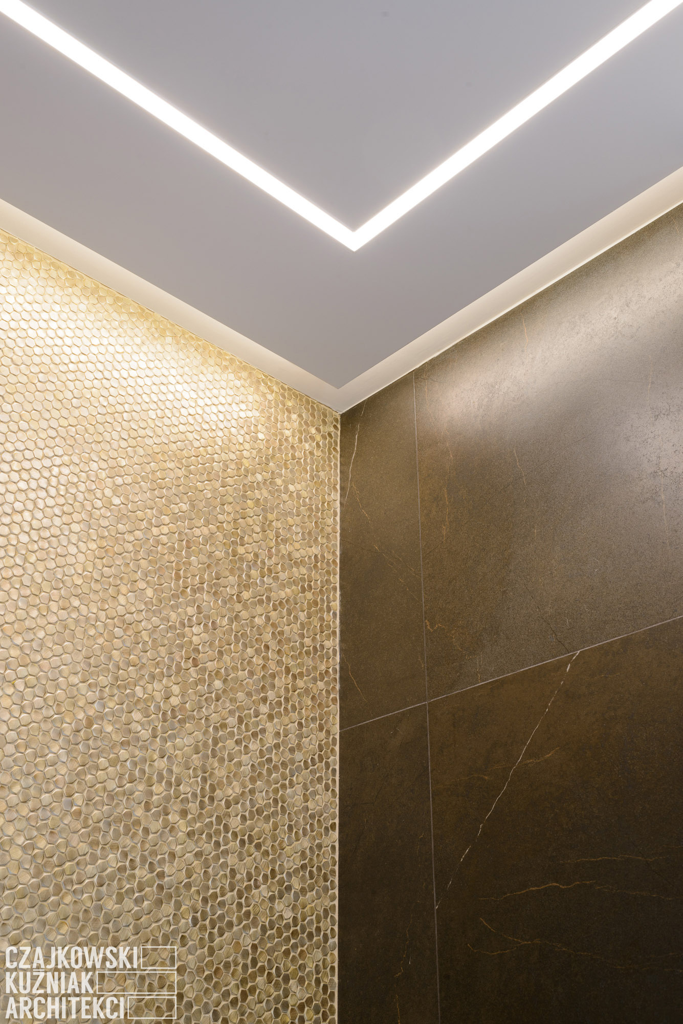 卡托维兹私人住宅的精致室内设计-30