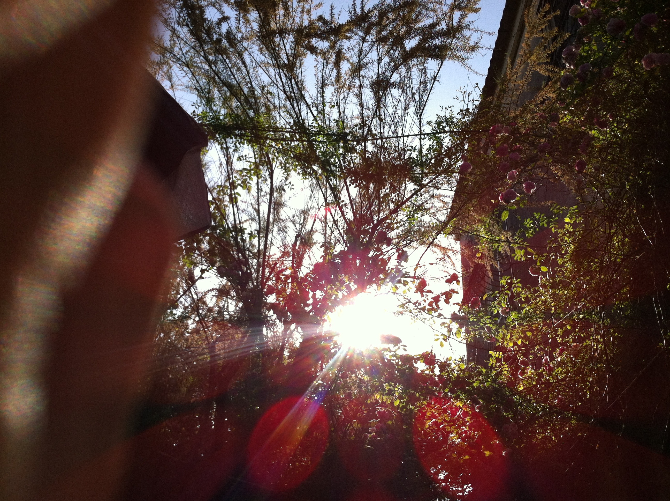 历史与现代共融的意大利百年老宅改造-1