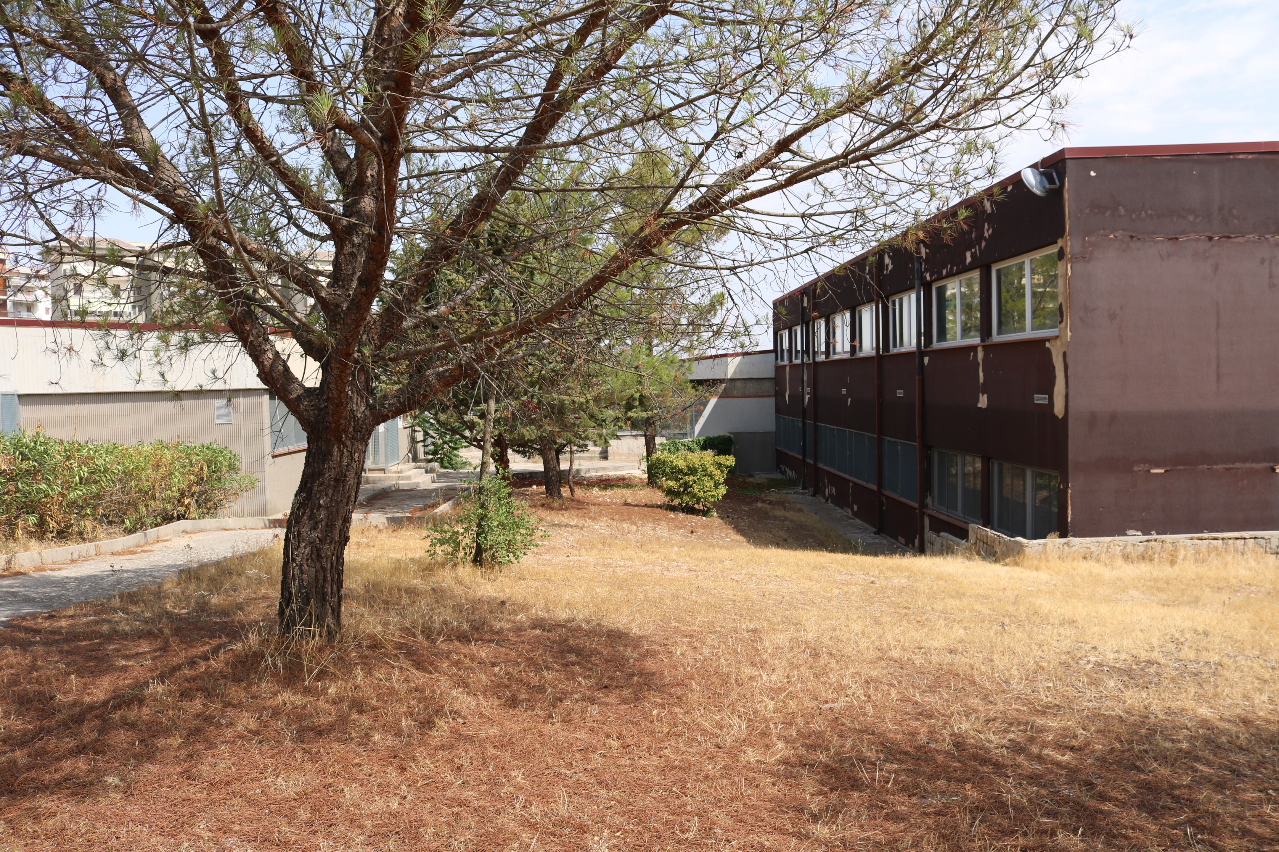 意大利 T·Fiore 学校社区图书馆设计-10