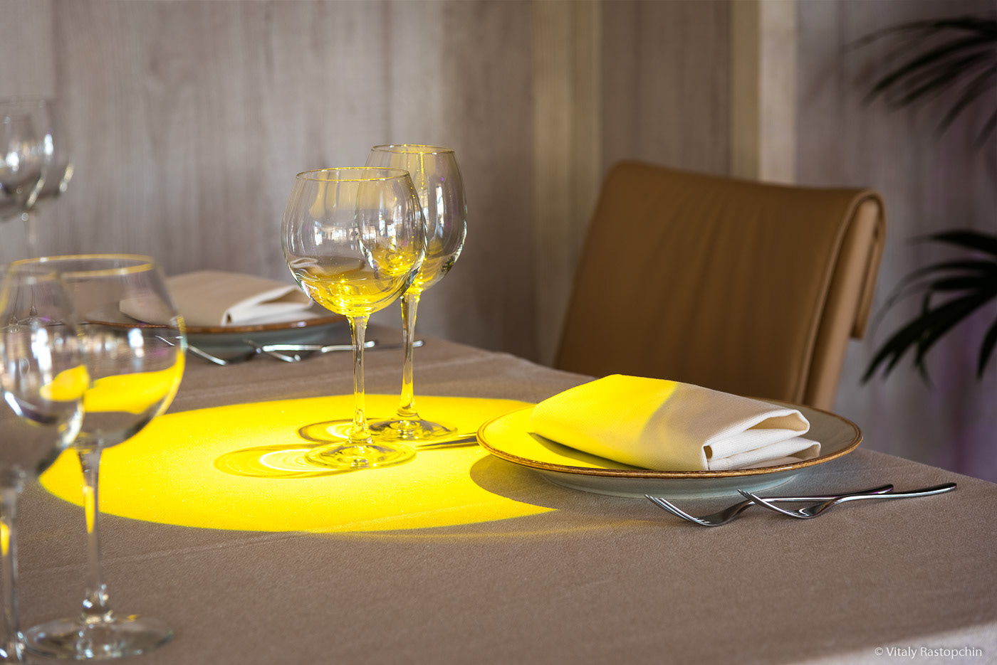 莫斯科 Teplica 餐厅 | 2019 年俄罗斯设计风尚-12