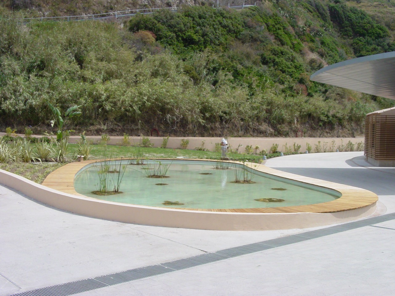 混凝土之韵 | 度假酒店泳池与海水疗法设计-3