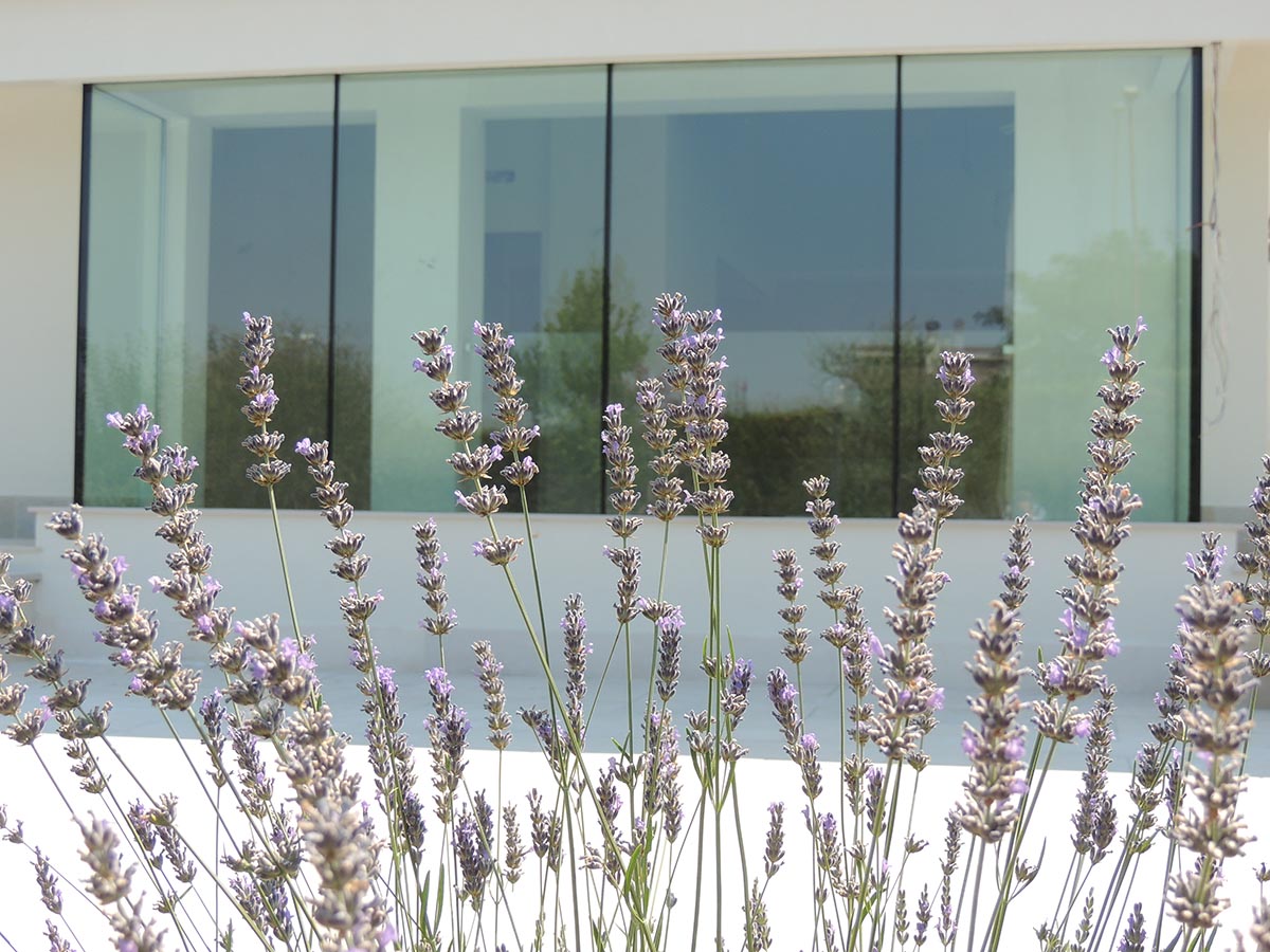 2013 年完成的意大利石灰与大麻节能住宅-1