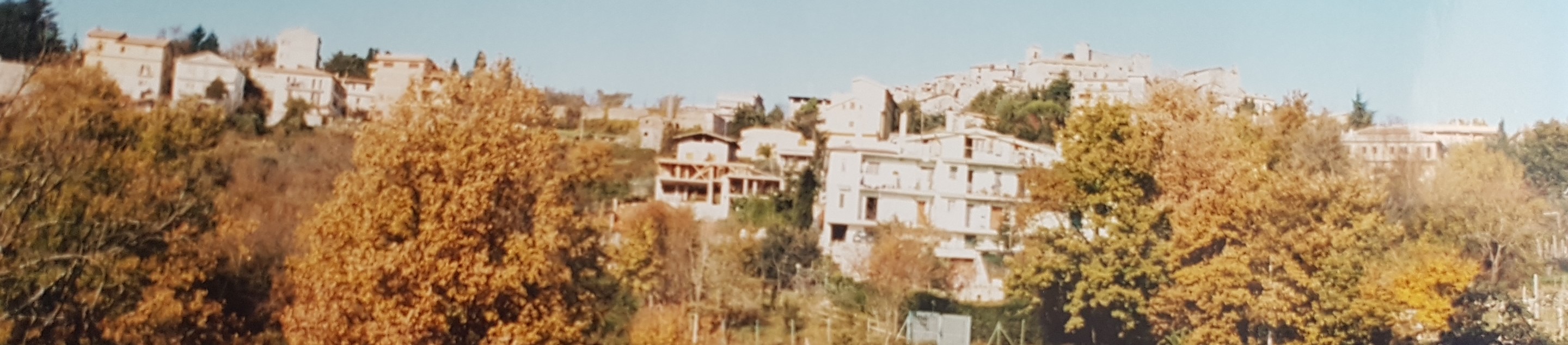 意大利橄榄树丛中的双层别墅设计-96