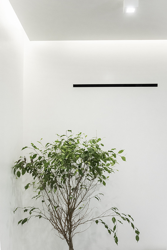 罗马市中心大型公寓_2017 年完工-33