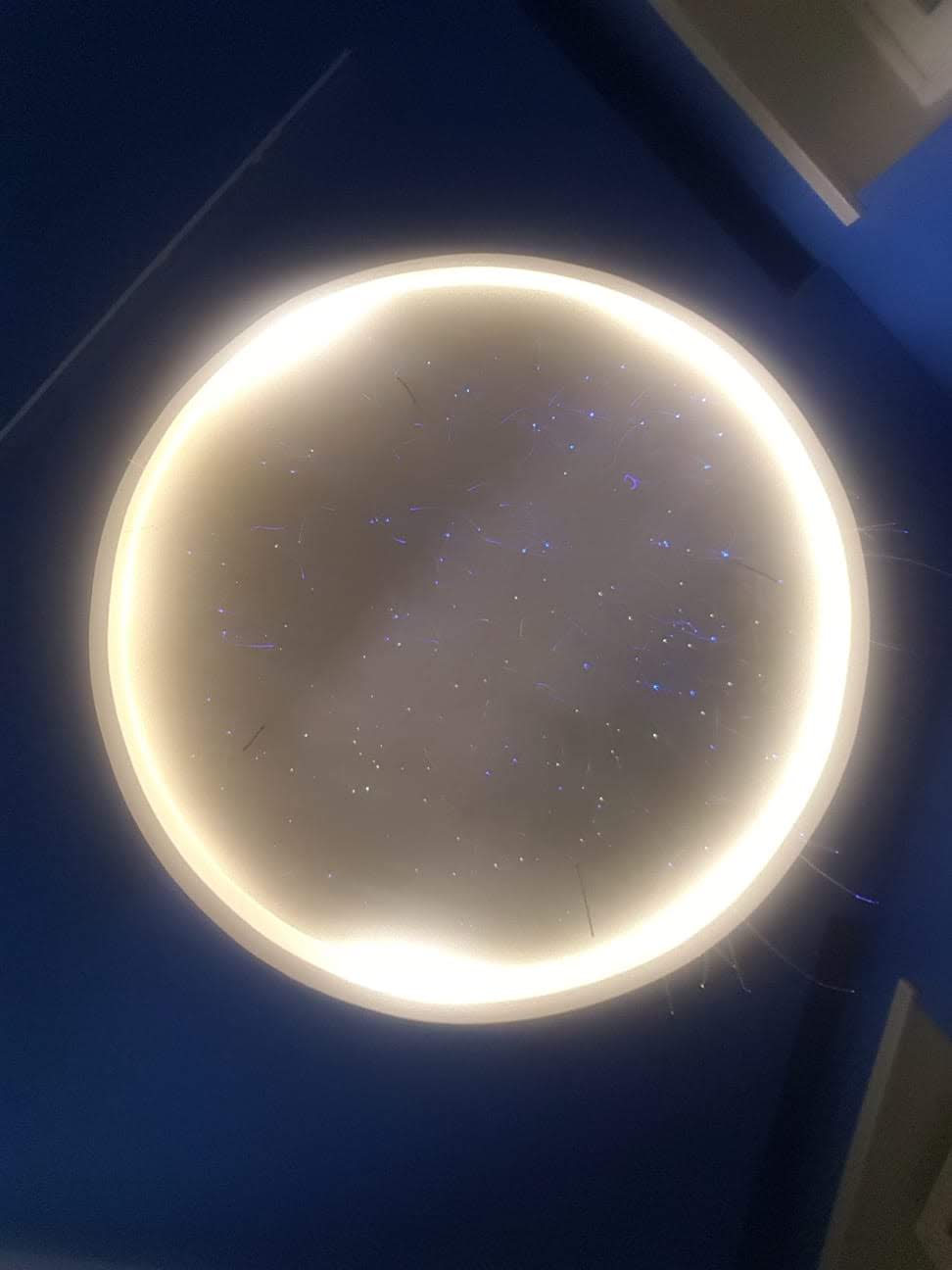 2018 年蒙特马里奥公寓设计-16