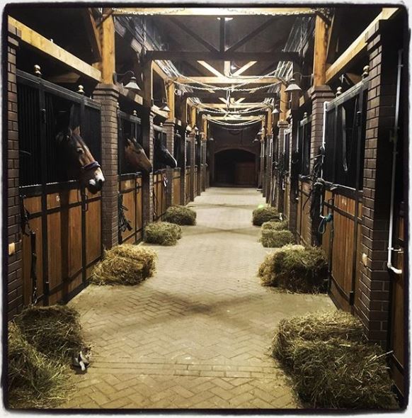 阿尔卑斯山风格木屋酒店与树屋设计-62