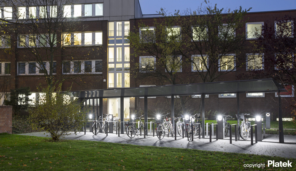 汉堡 Plan International 办公空间——公共花园式办公新体验-1