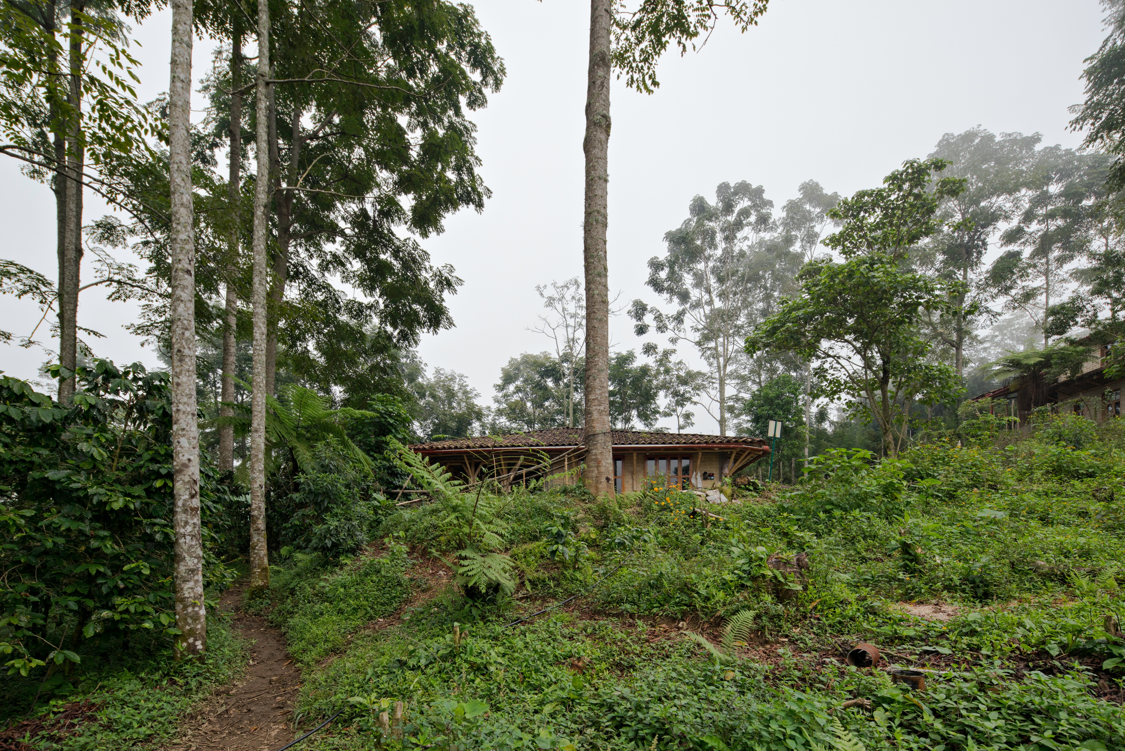 蒙特梭利·托塞潘双语学校-12