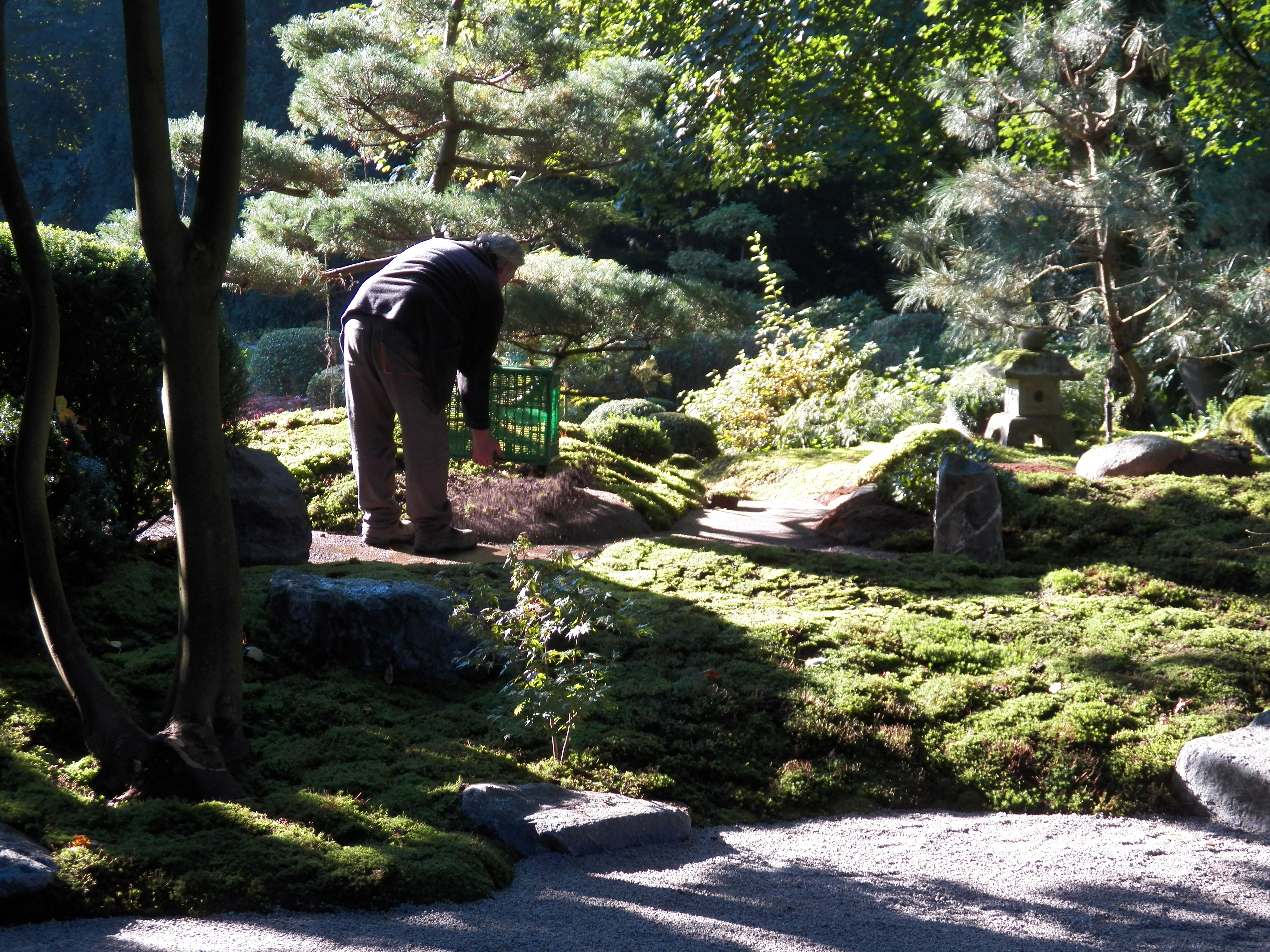 禅意园林 | 日本庭院设计实例-7