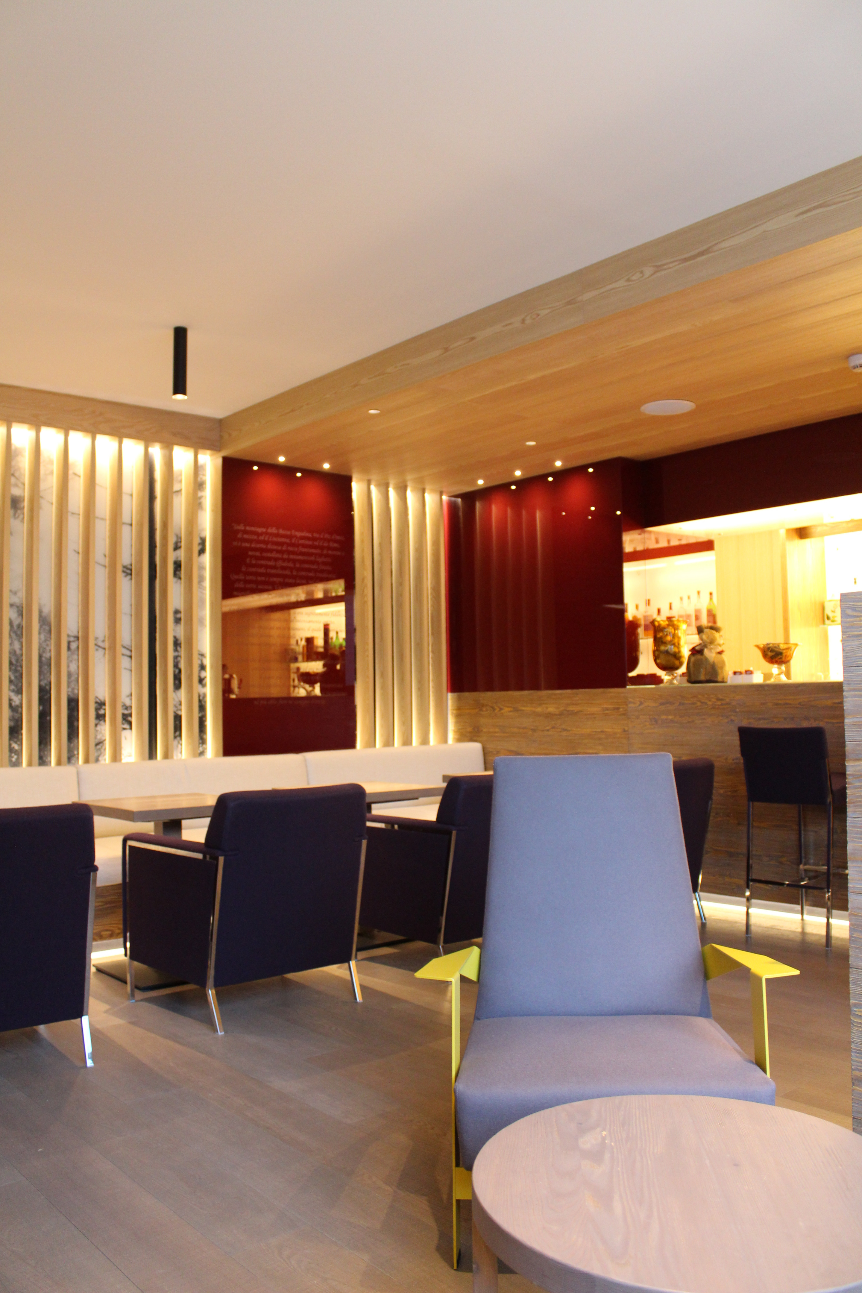 拉贾迪拉酒店室内设计-13