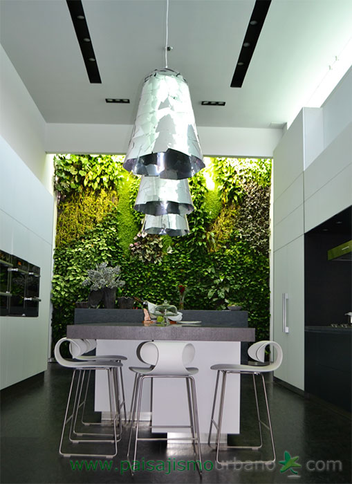 墨西哥绿意盎然的家庭住宅-21