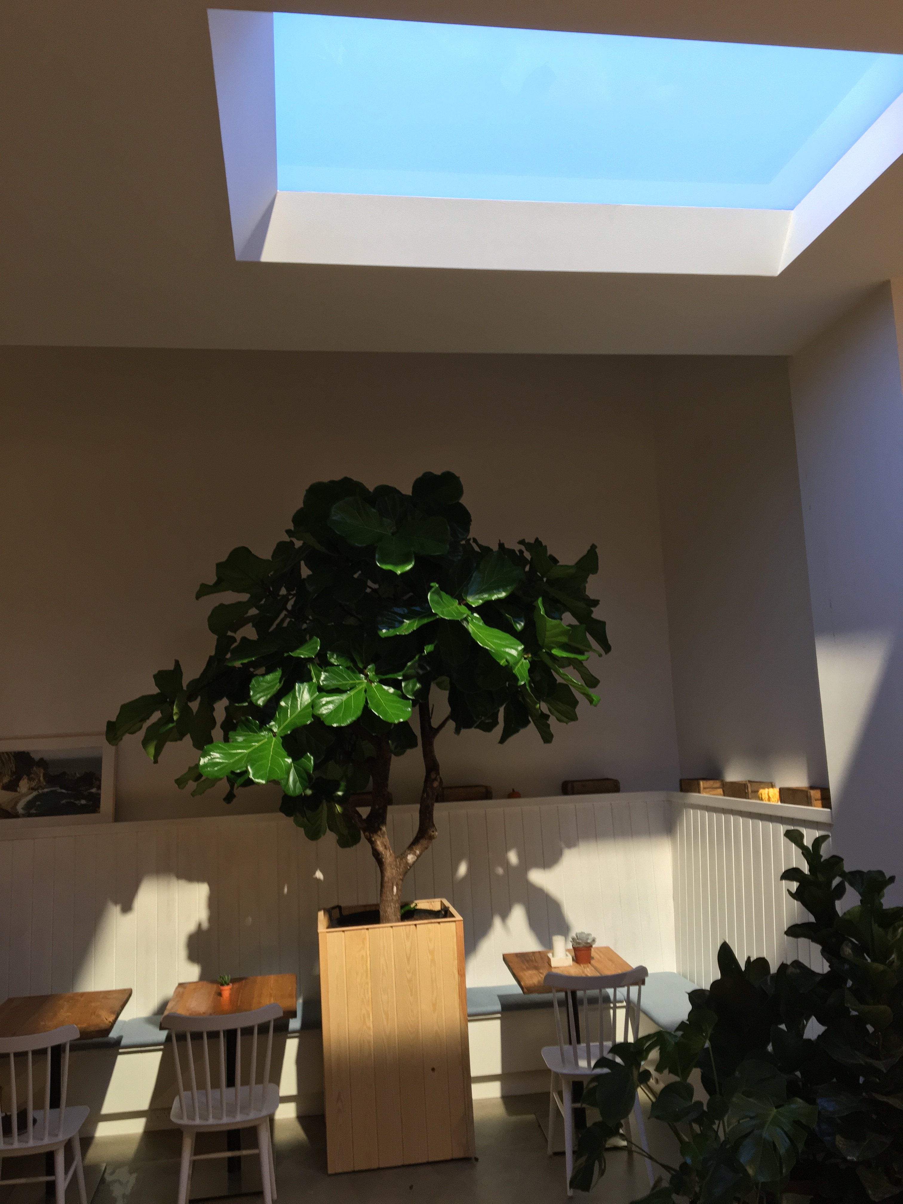 加州厨房餐厅-0