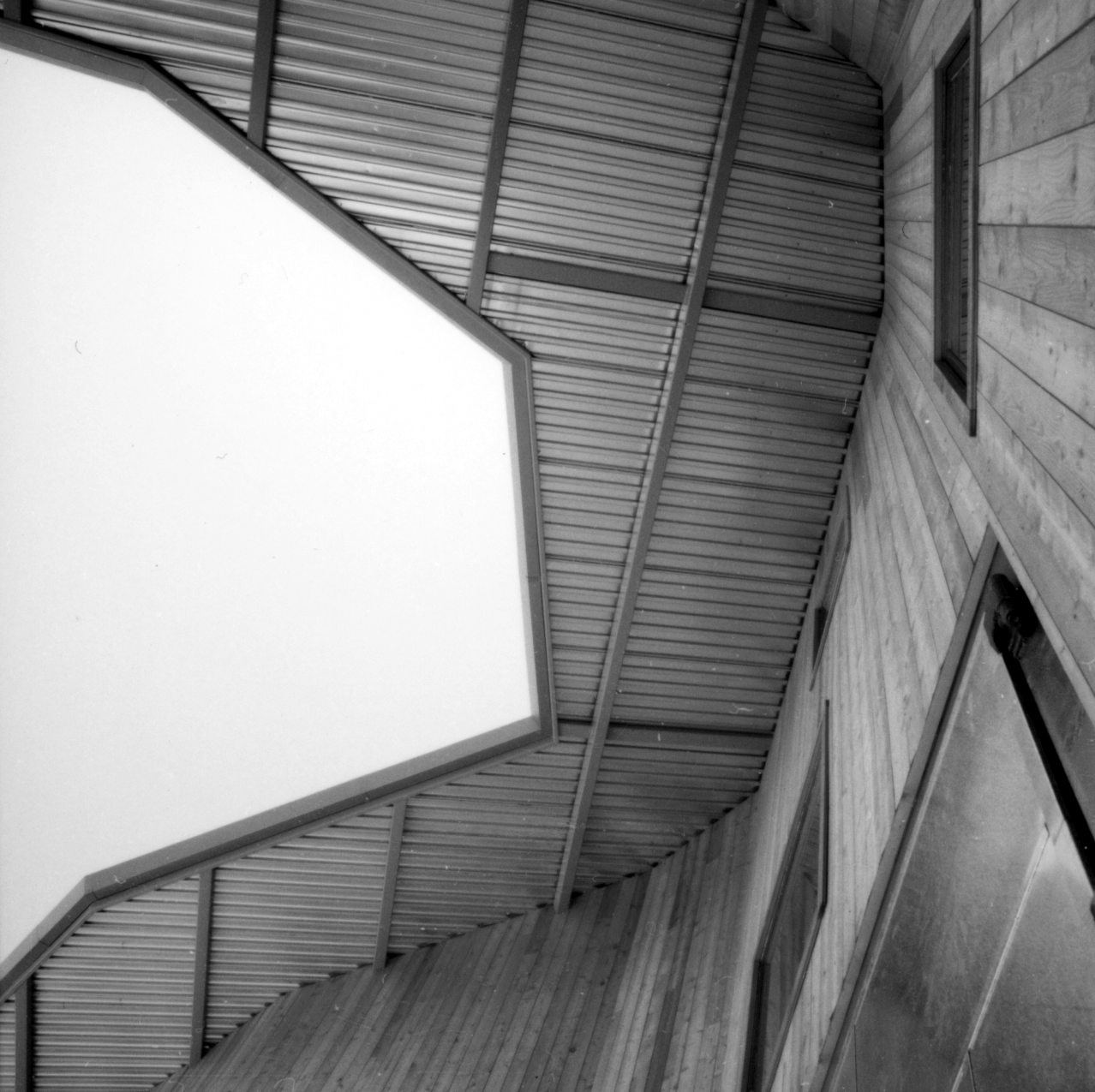 拉文斯伍德酒庄-24