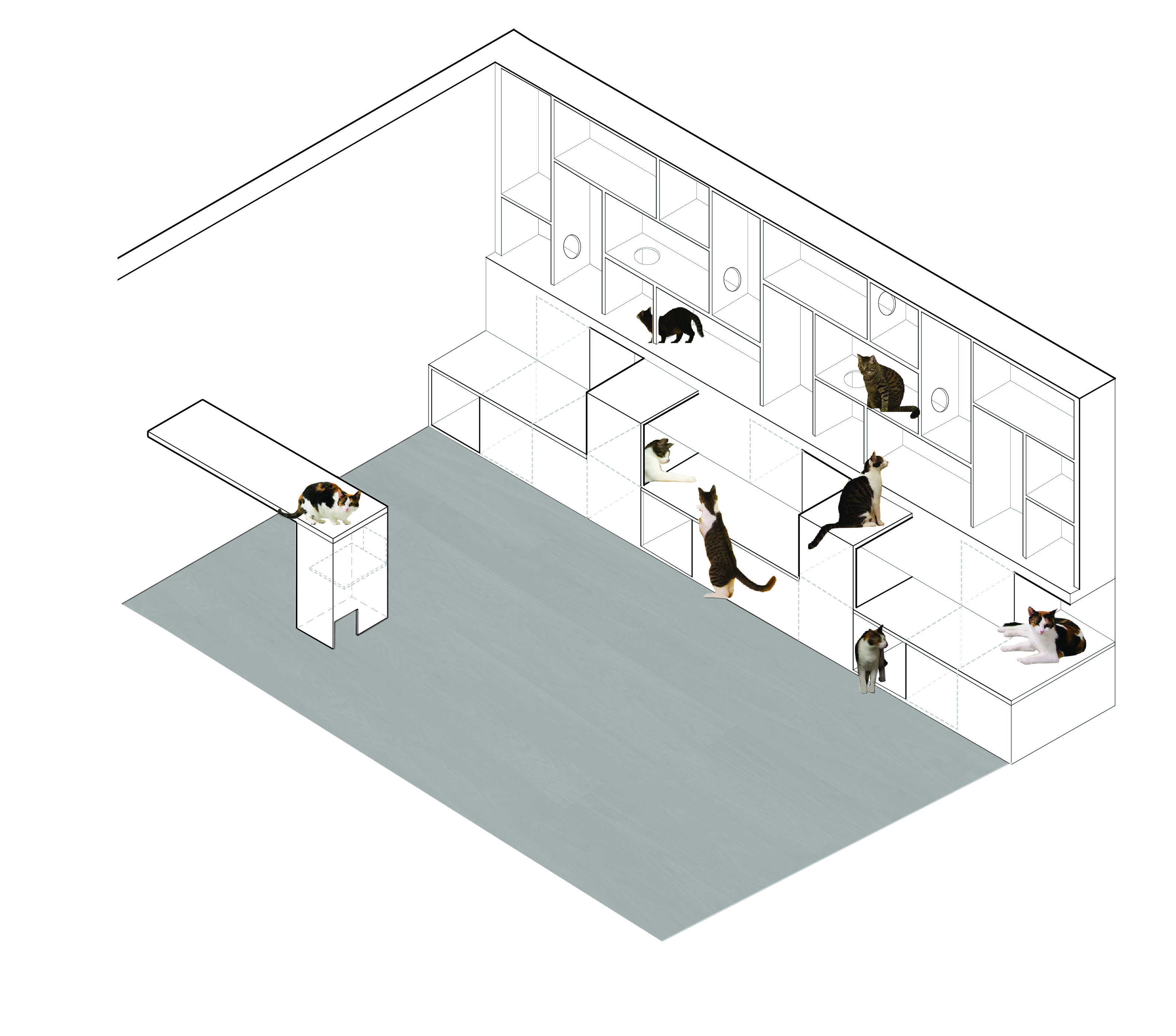 喵星人的温馨之家 · 纽约第一家猫咖啡馆-8