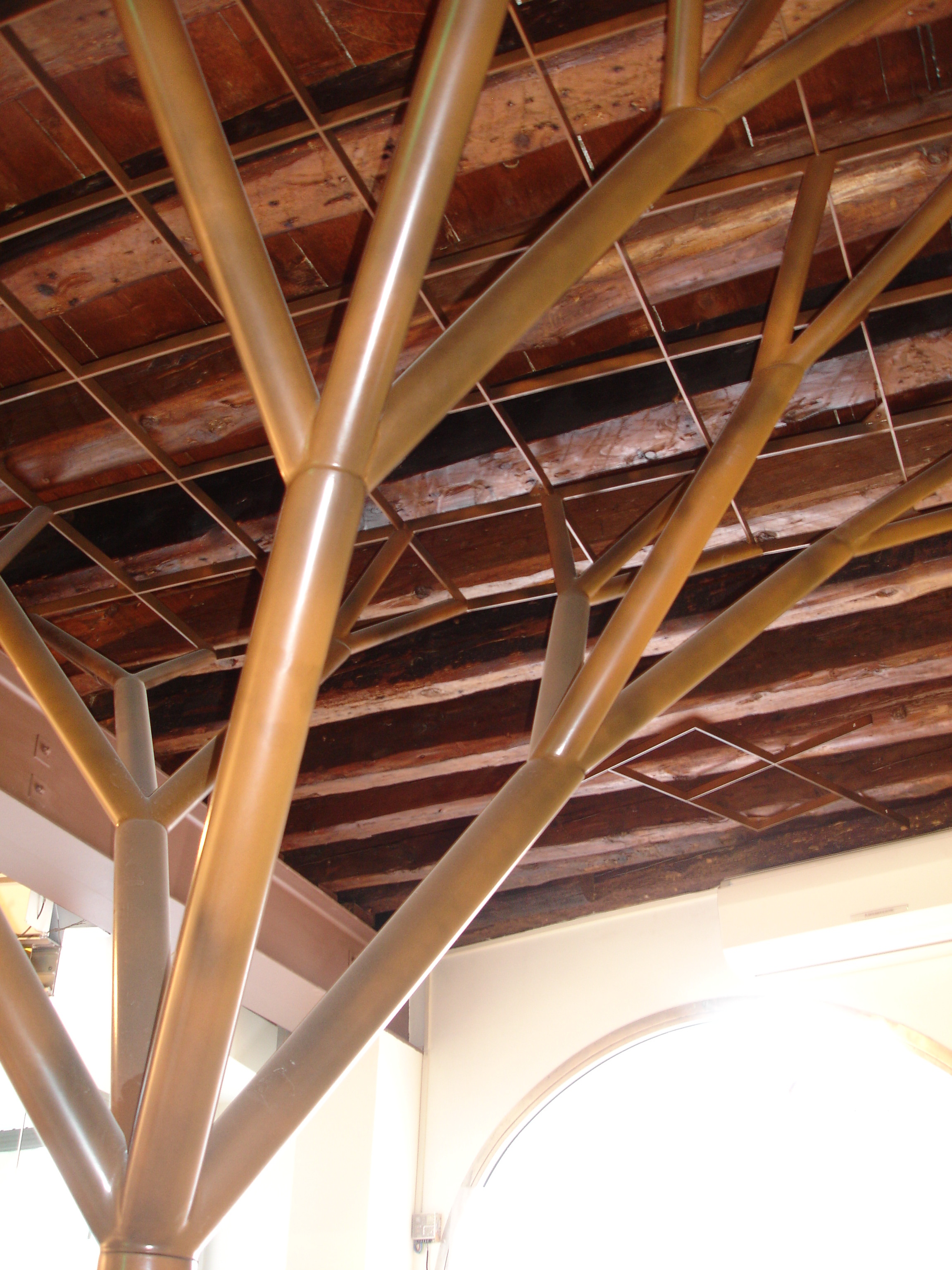 《光影生命》展示空间-17