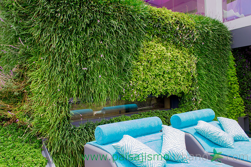 墨西哥绿意盎然的家庭住宅-47