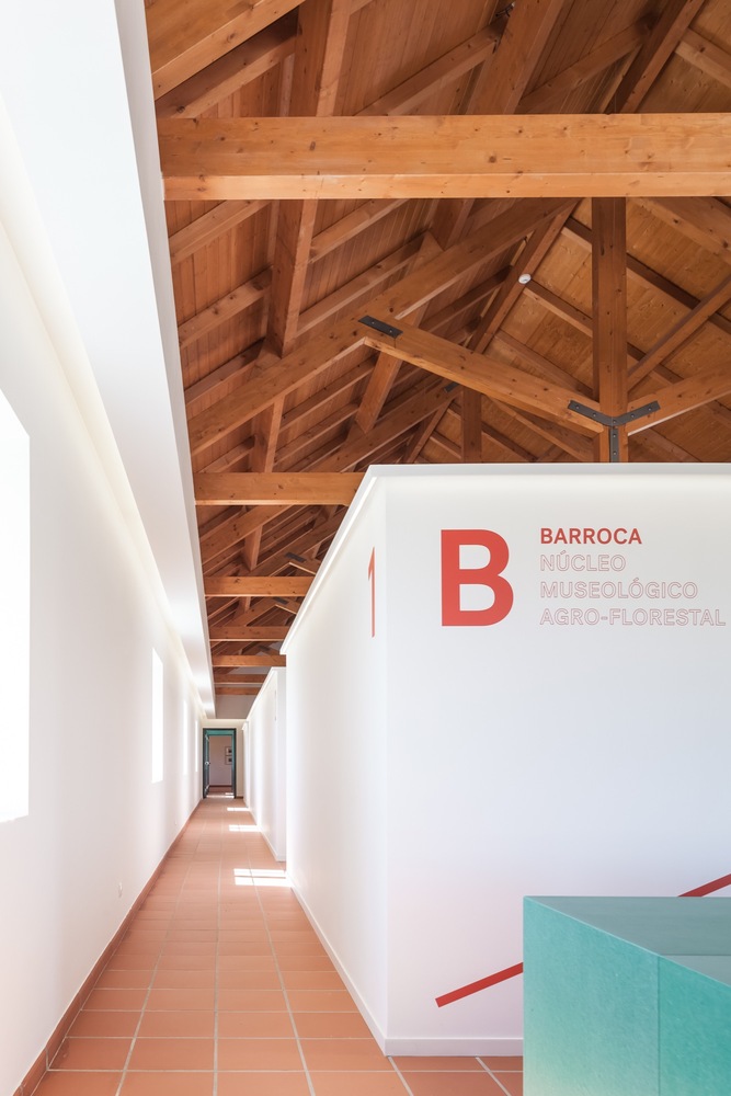 巴罗卡博物馆 (Barroca Museum)-72