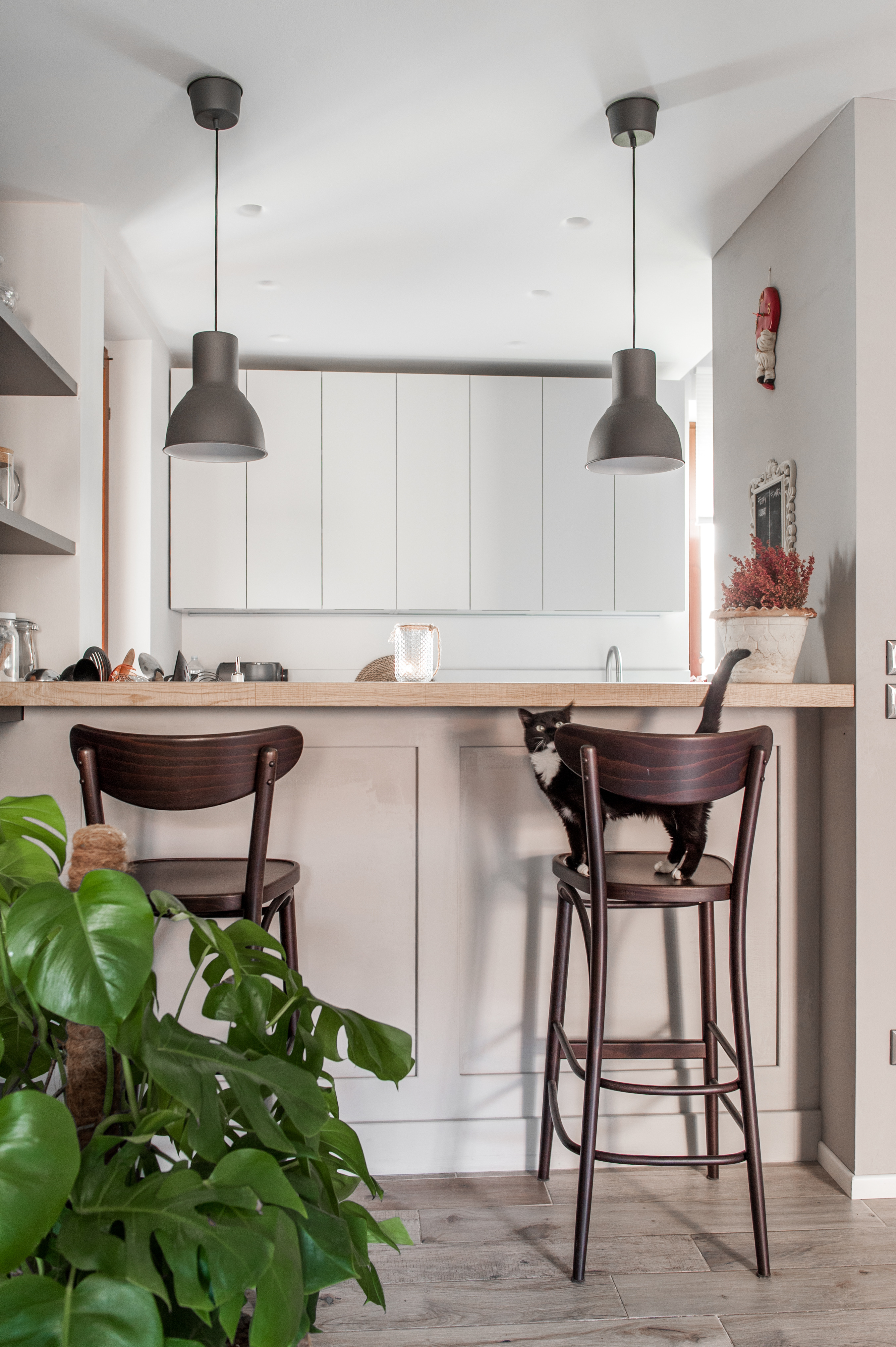 2016 年完成的 F+F+N 公寓室内设计-41