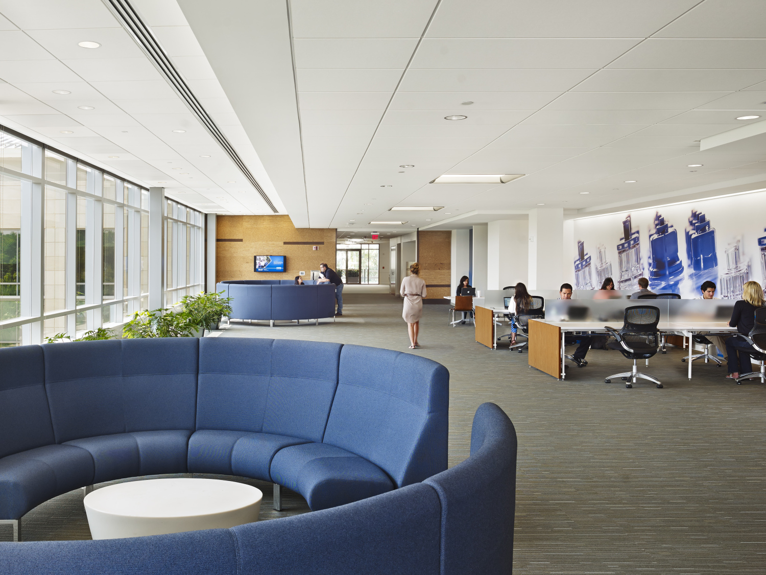 巴林格设计 西医药服务公司总部 绿色协作空间-7