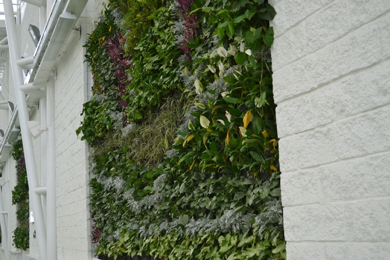 哥伦比亚 Ibague 泛美书店-11