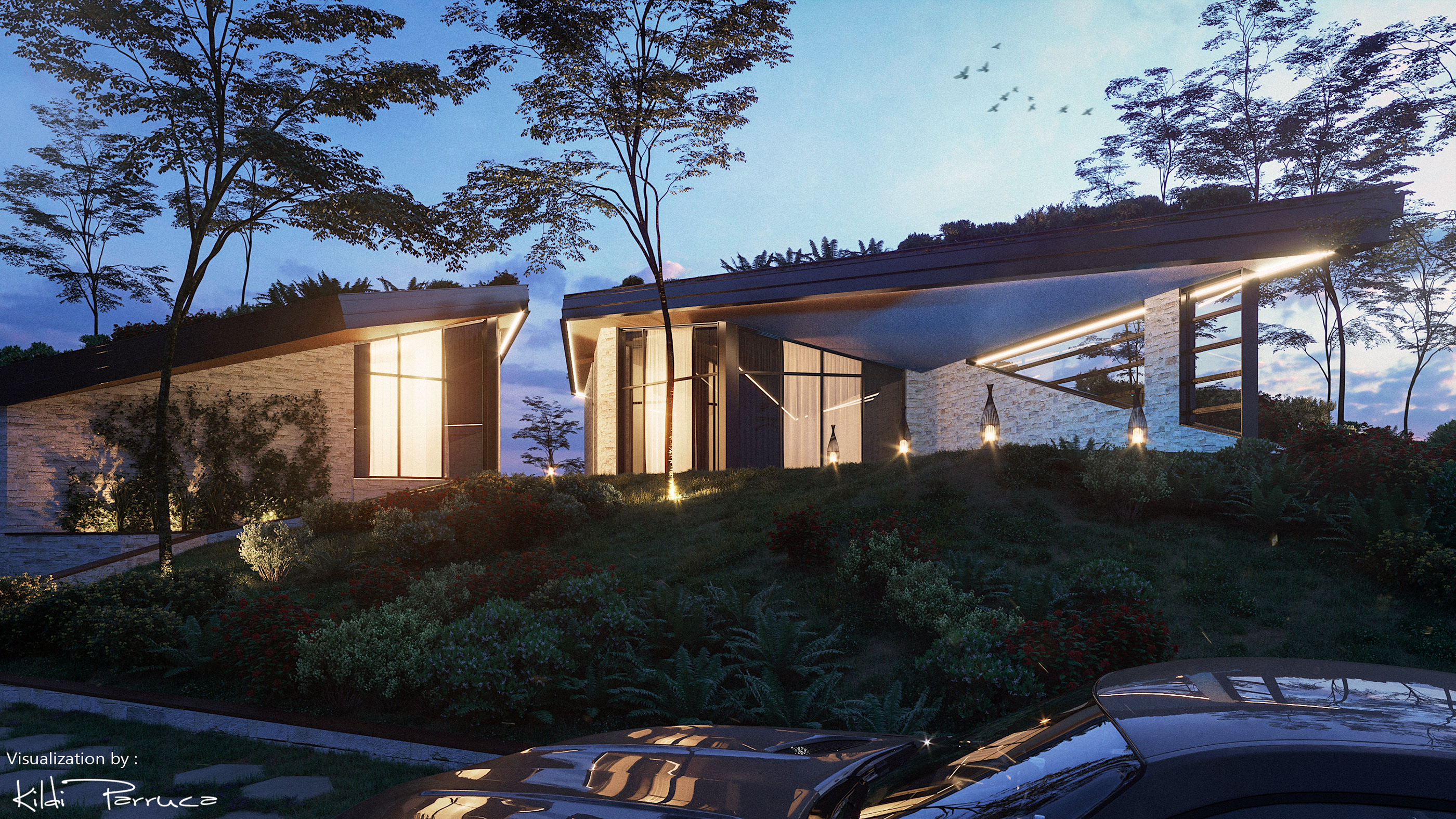 Arcadia Villas 绿色建筑设计-1