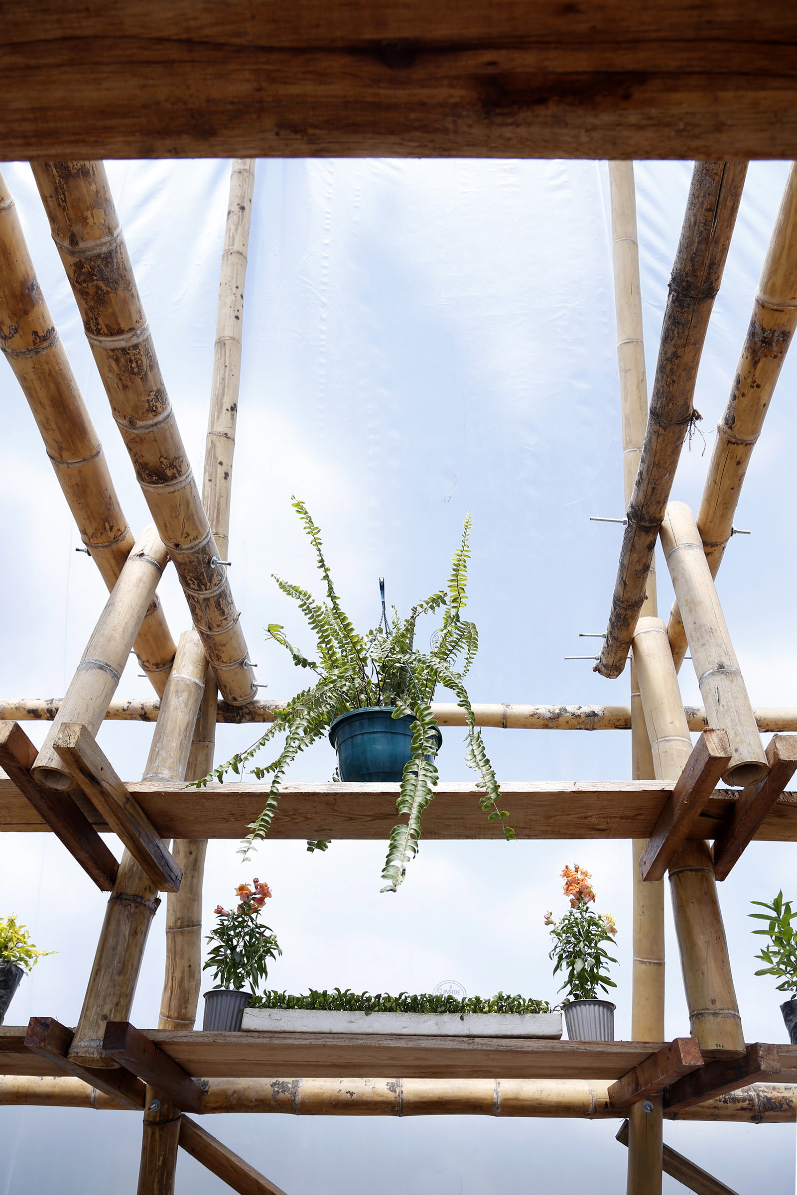 厄瓜多尔蔬菜三角温室 · 赋权社区绿色家园-9